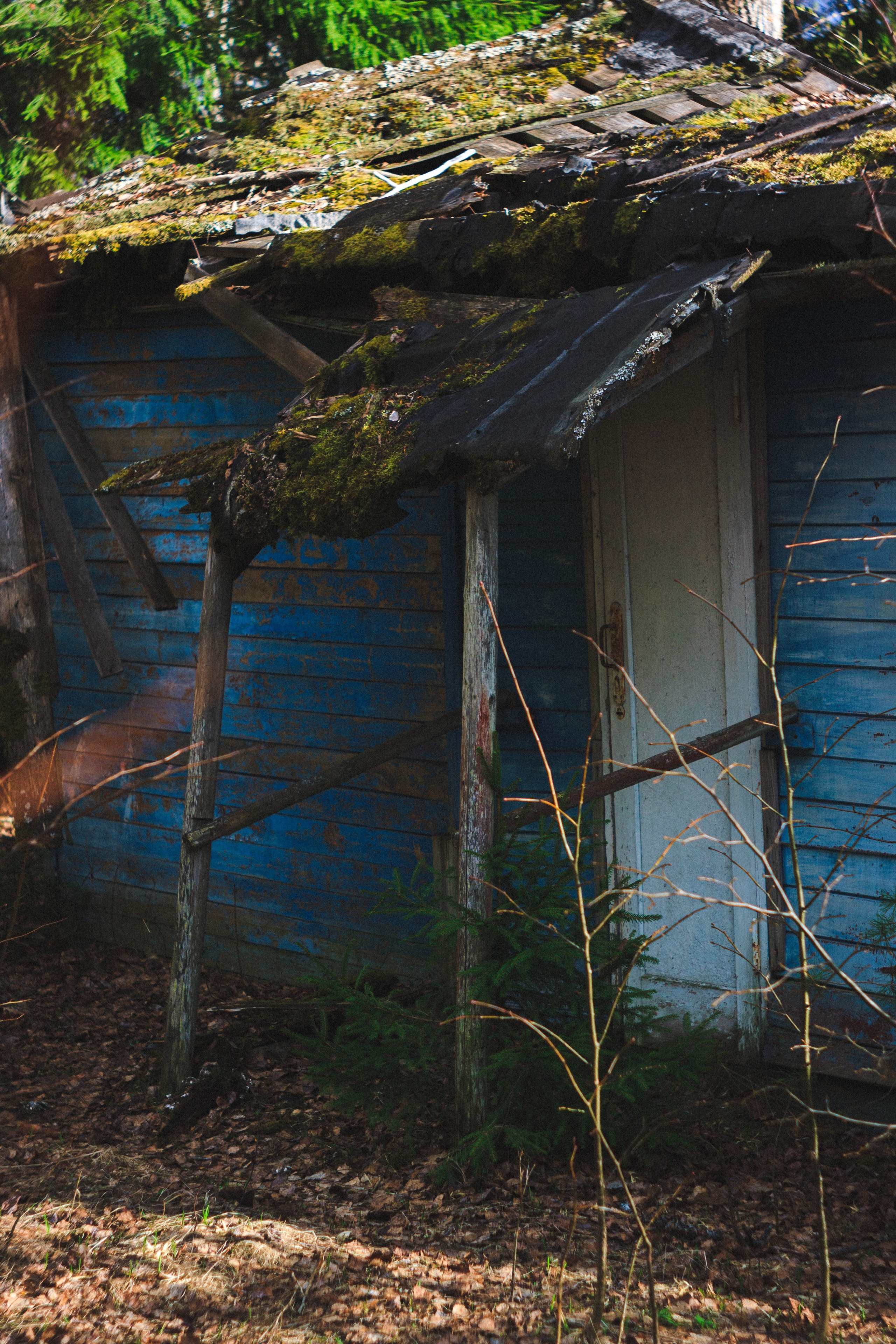 Деревня. Den Mirov — Photographer, Musician