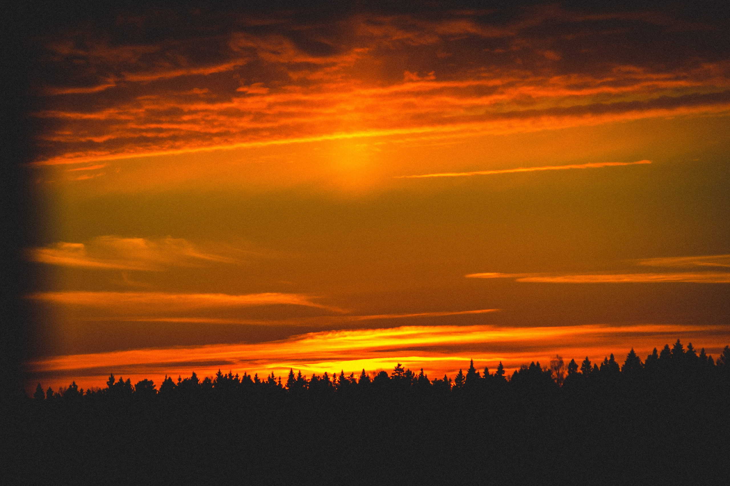 The Road to Truth. Den Mirov — Photographer, Musician