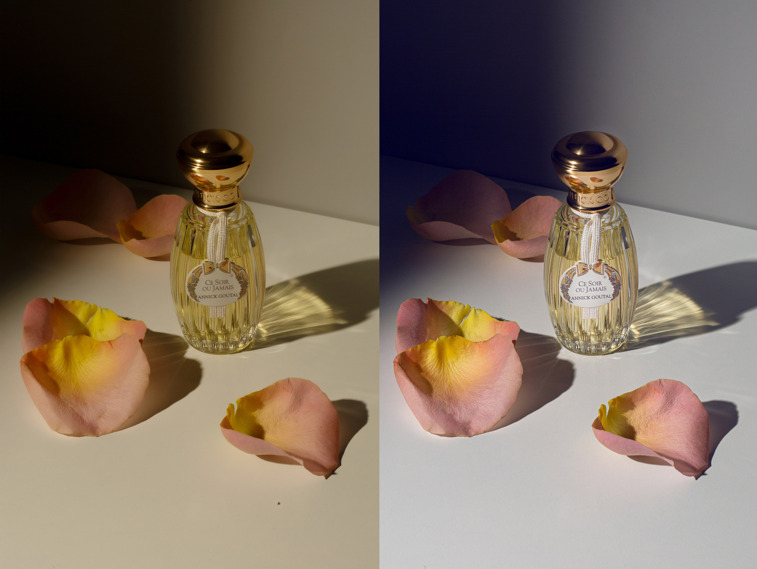 Профессиональная художественная обработка фотографий косметики | Студия SVITHART