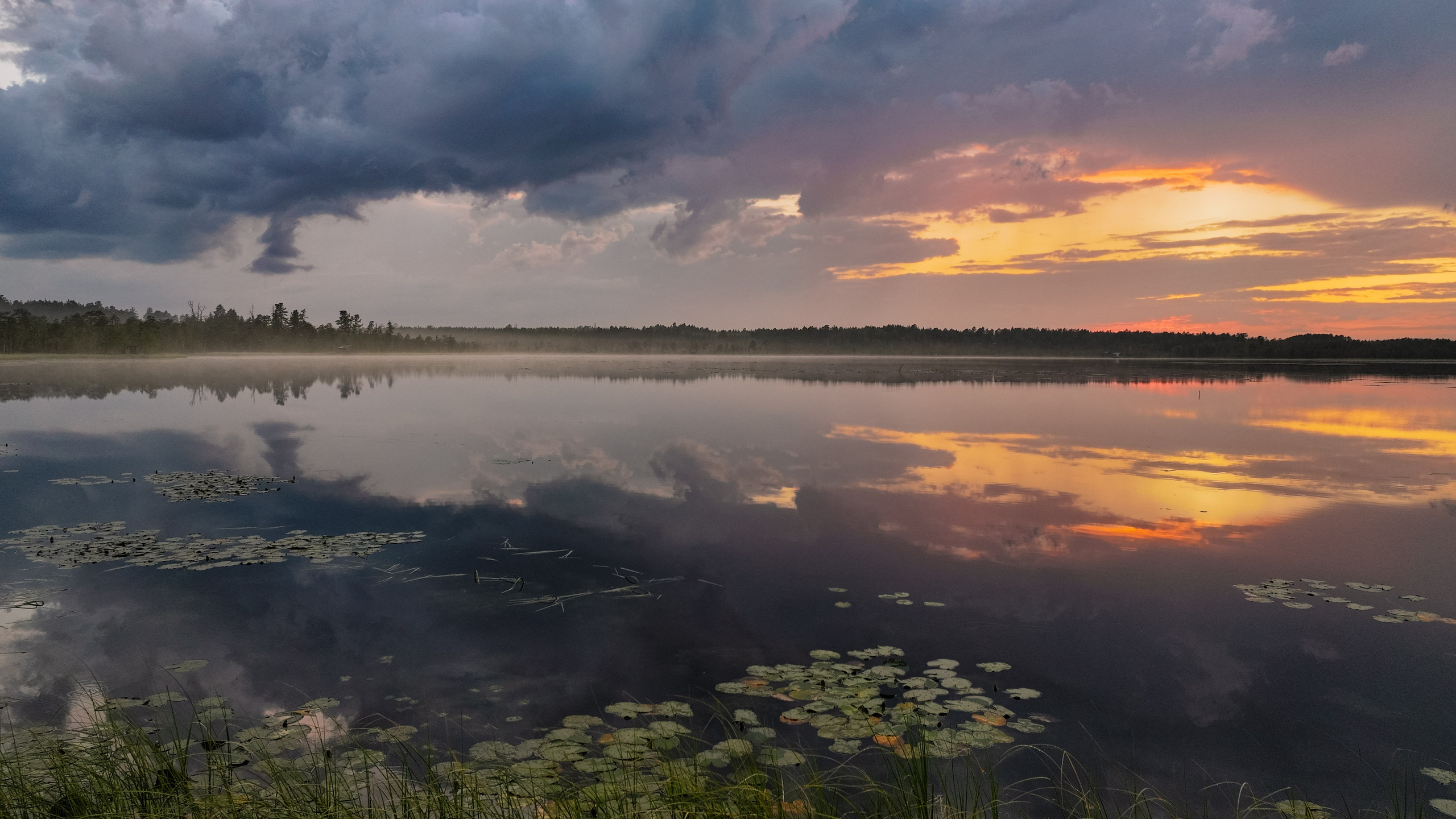 Обработка. Фотограф Татьяна Борисова