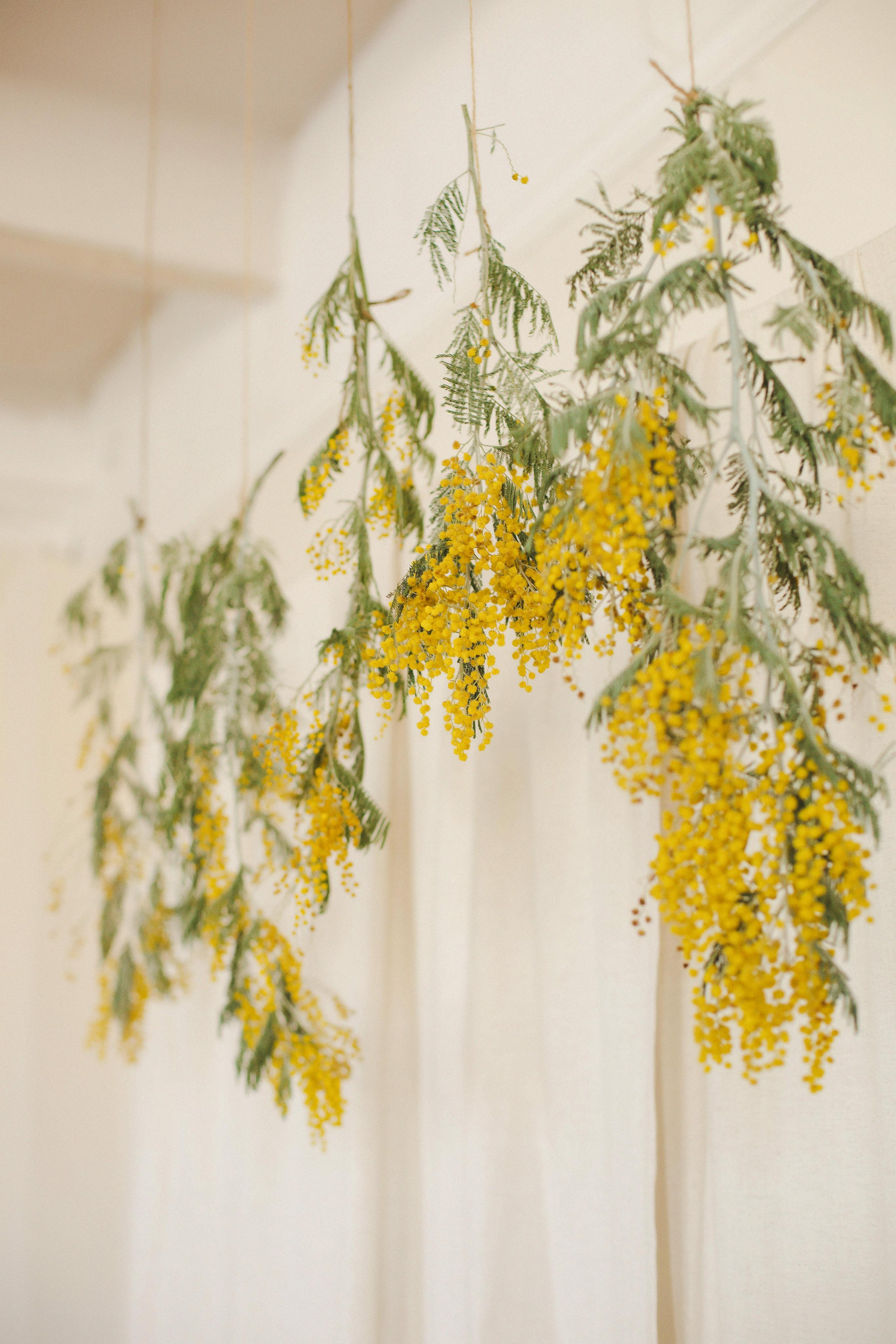 Мария. Портретный и свадебный фотограф в Астрахани Сабира Аубекерова