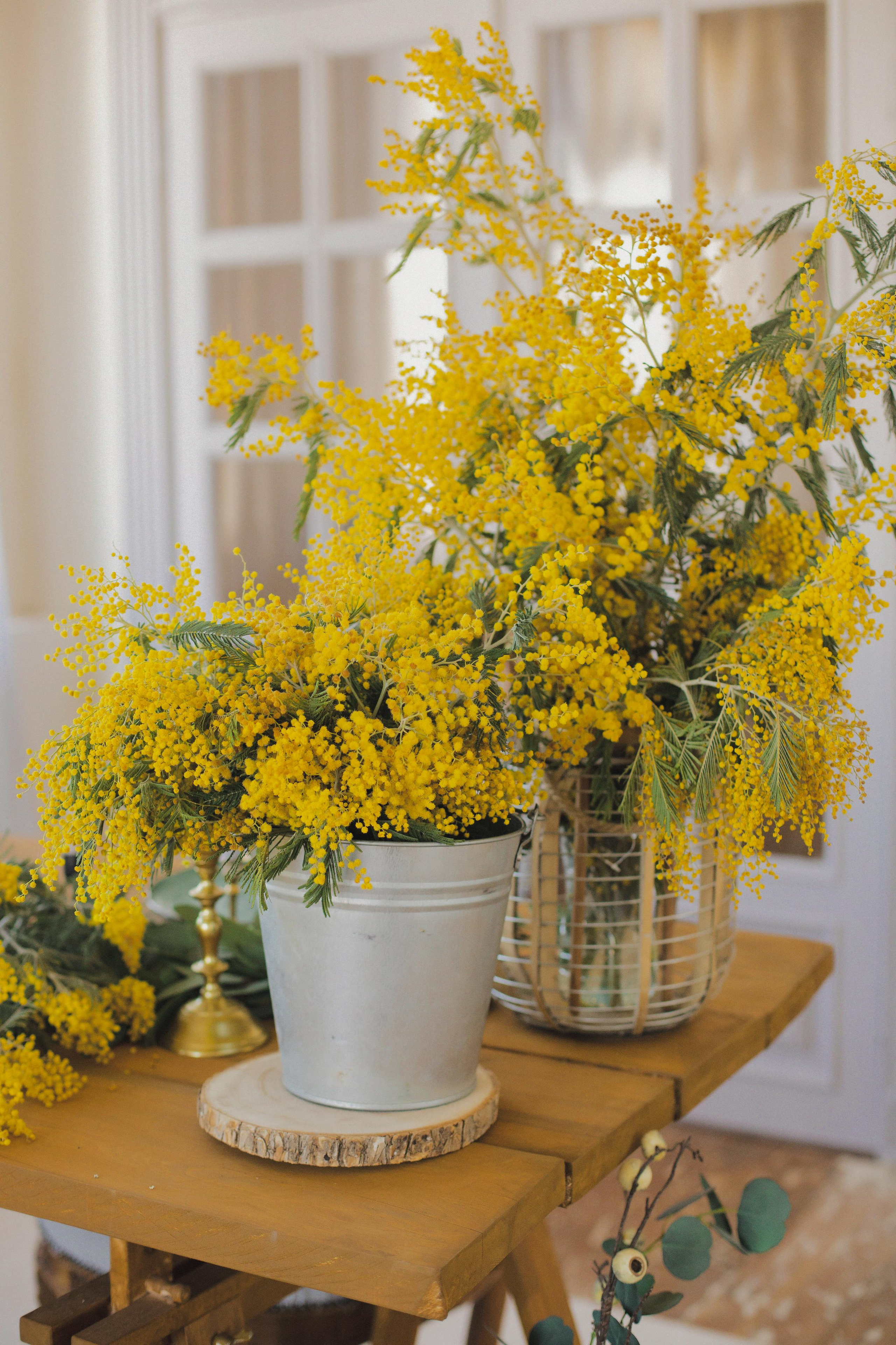 Мария. Портретный и свадебный фотограф в Астрахани Сабира Аубекерова
