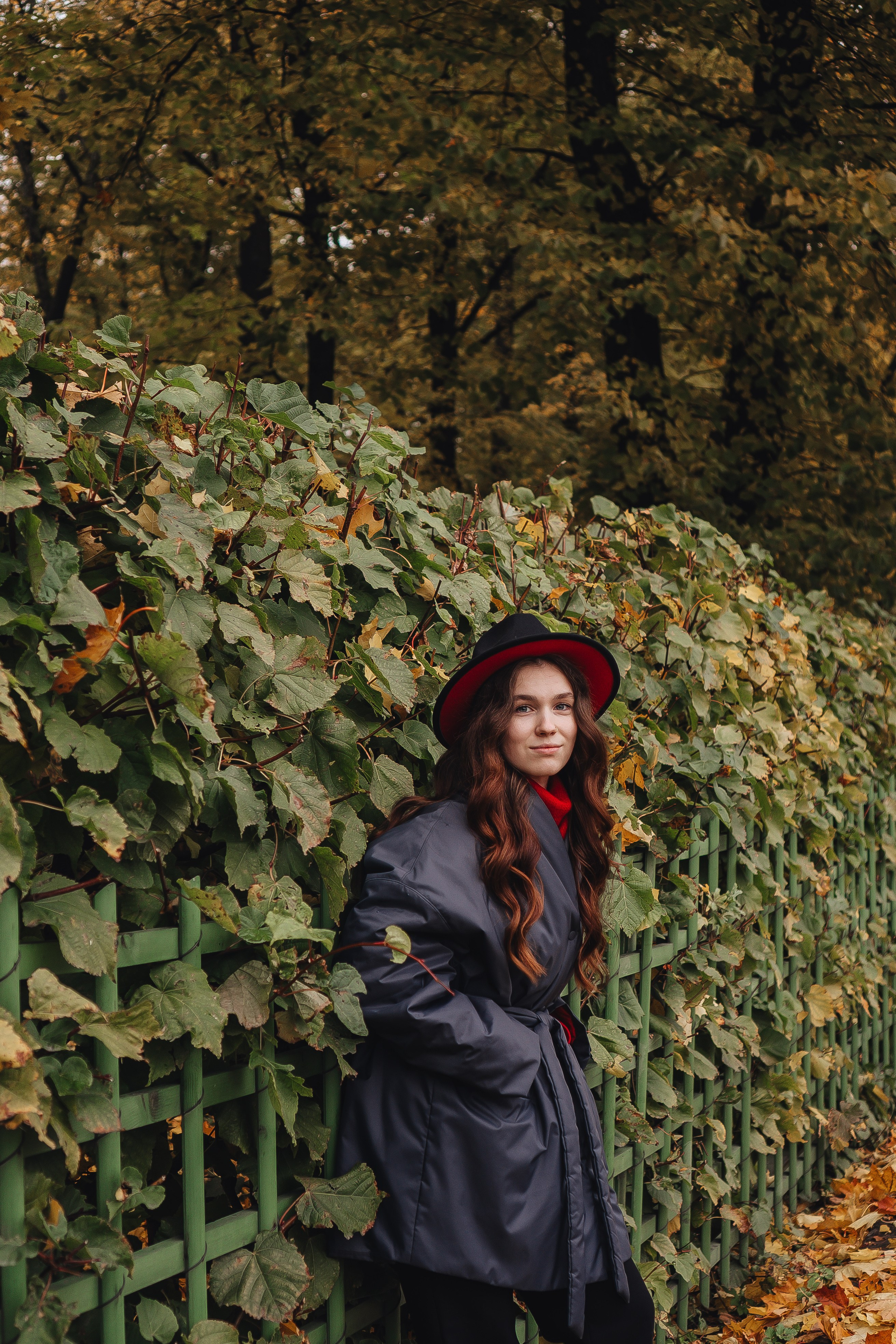 Осень. Профессиональный фотограф, Санкт-Петербург — Виктория Богомолова