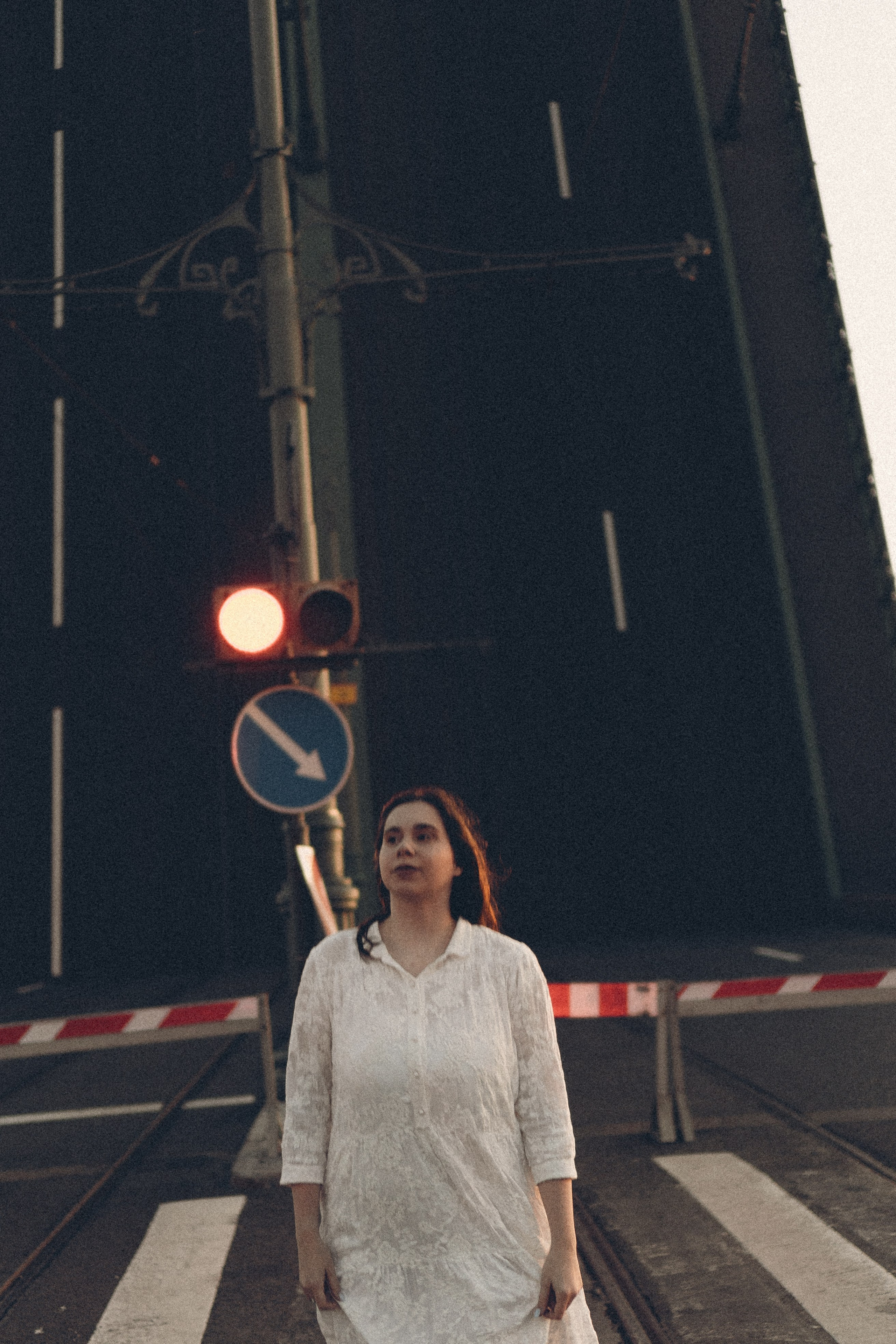 РАССВЕТ С РАЗВОДНЫМИ МОСТАМИ. Профессиональный фотограф, Санкт-Петербург — Виктория Богомолова