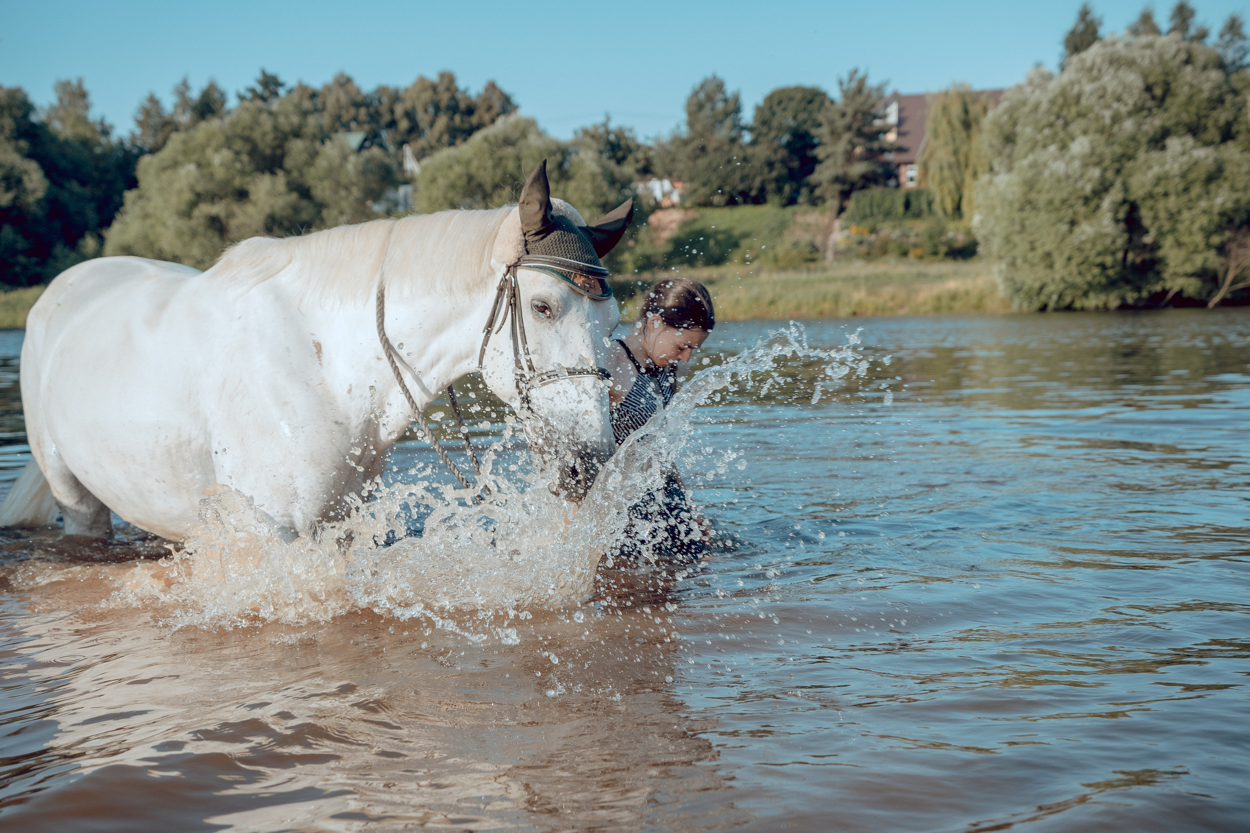 Купание лошадей 05.07.2024. Портретный и семейный фотограф в Москве/Видное