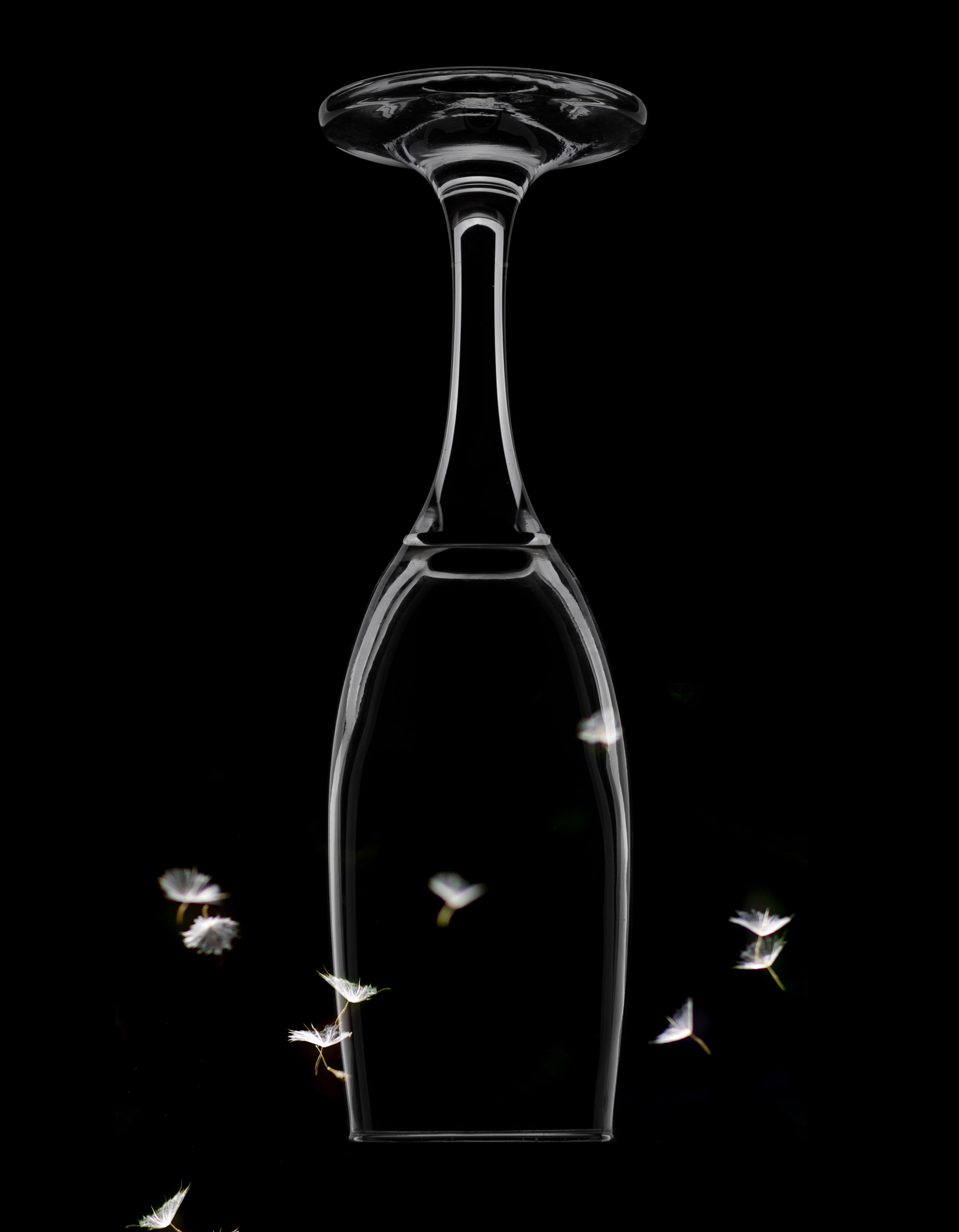 Предметная съемка. Предметная фото и видеосъемка в Саратове| Профессиональный фотограф