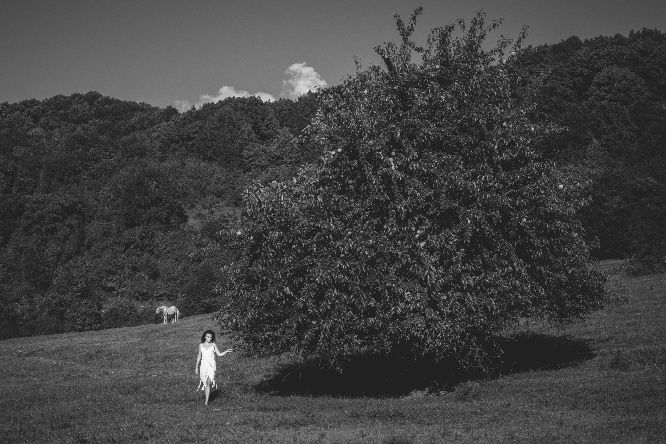 Фотосессия на природе, в поле. Фотограф в Сочи | Щербакова Дарья
