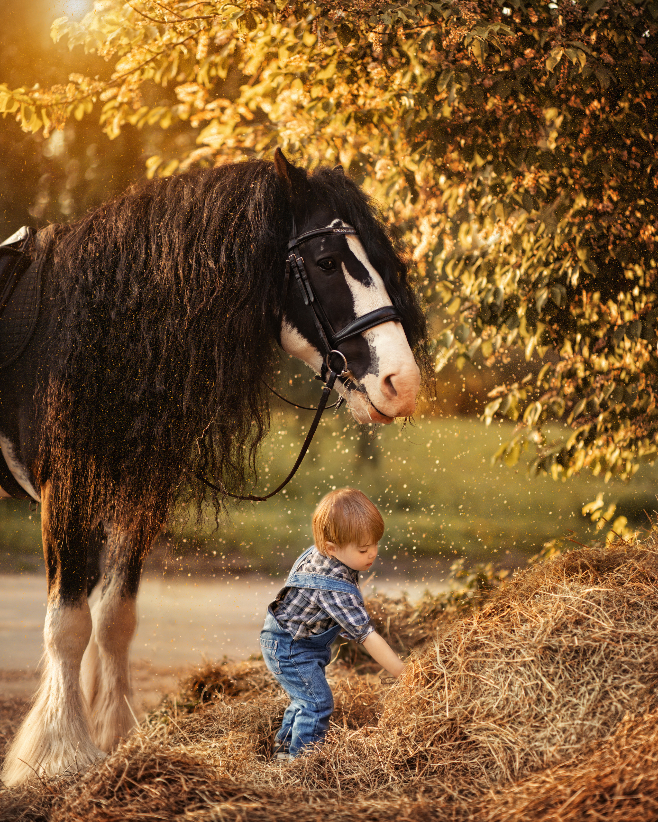 ФОТОСЕССИЯ С ЛОШАДЬМИ. Фотограф Москва