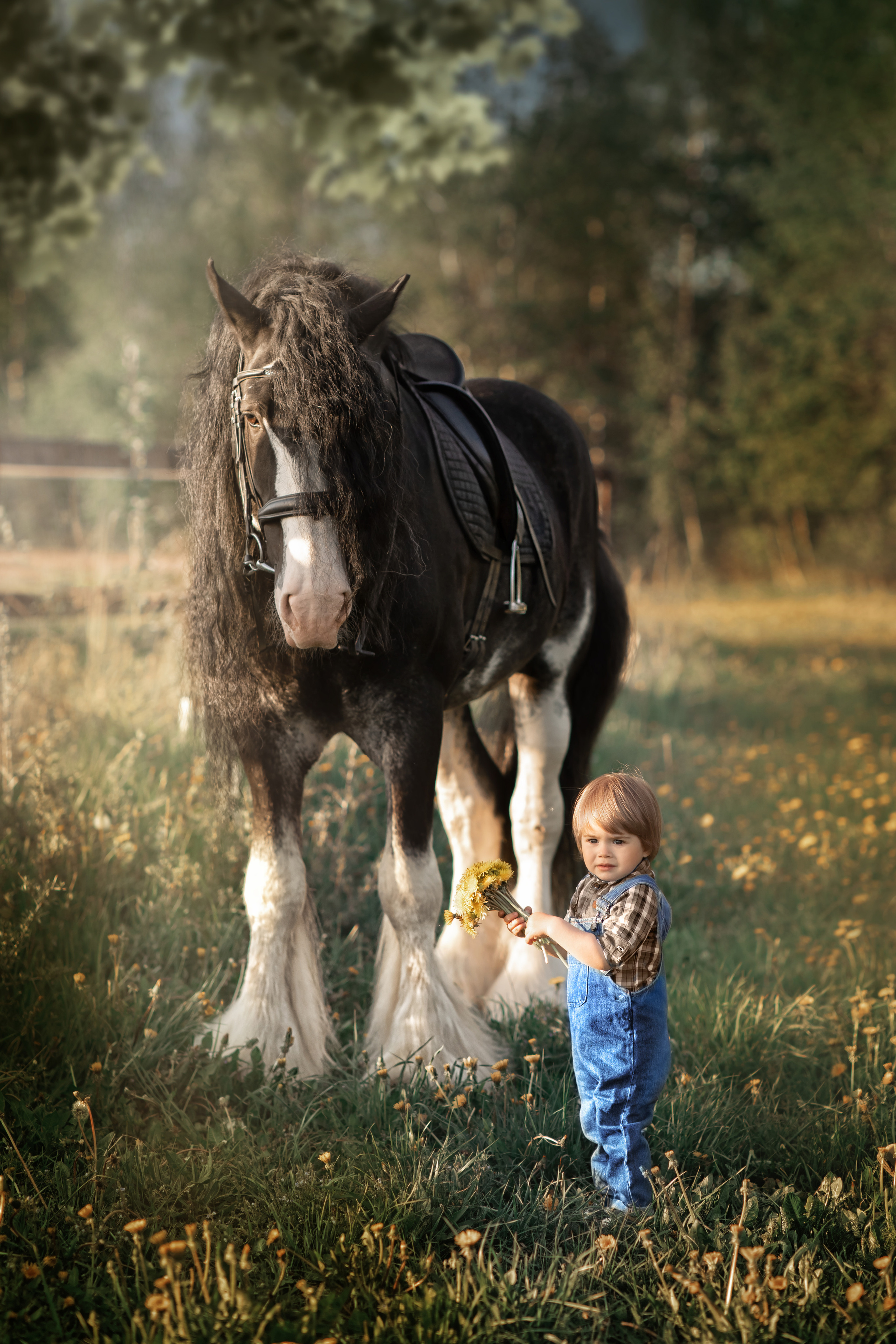 ФОТОСЕССИЯ С ЛОШАДЬМИ. Фотограф Москва