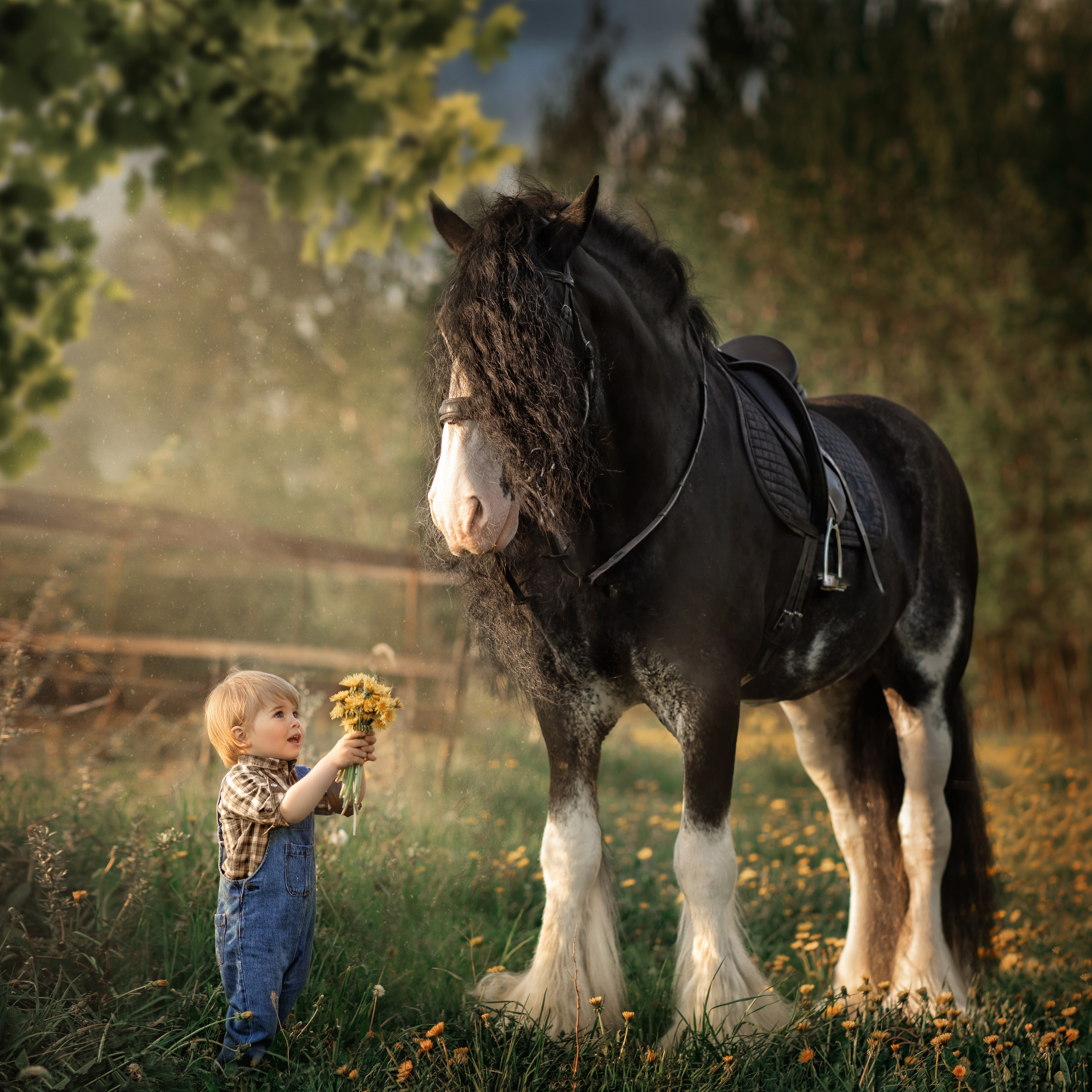 ФОТОСЕССИЯ С ЛОШАДЬМИ. Фотограф Москва
