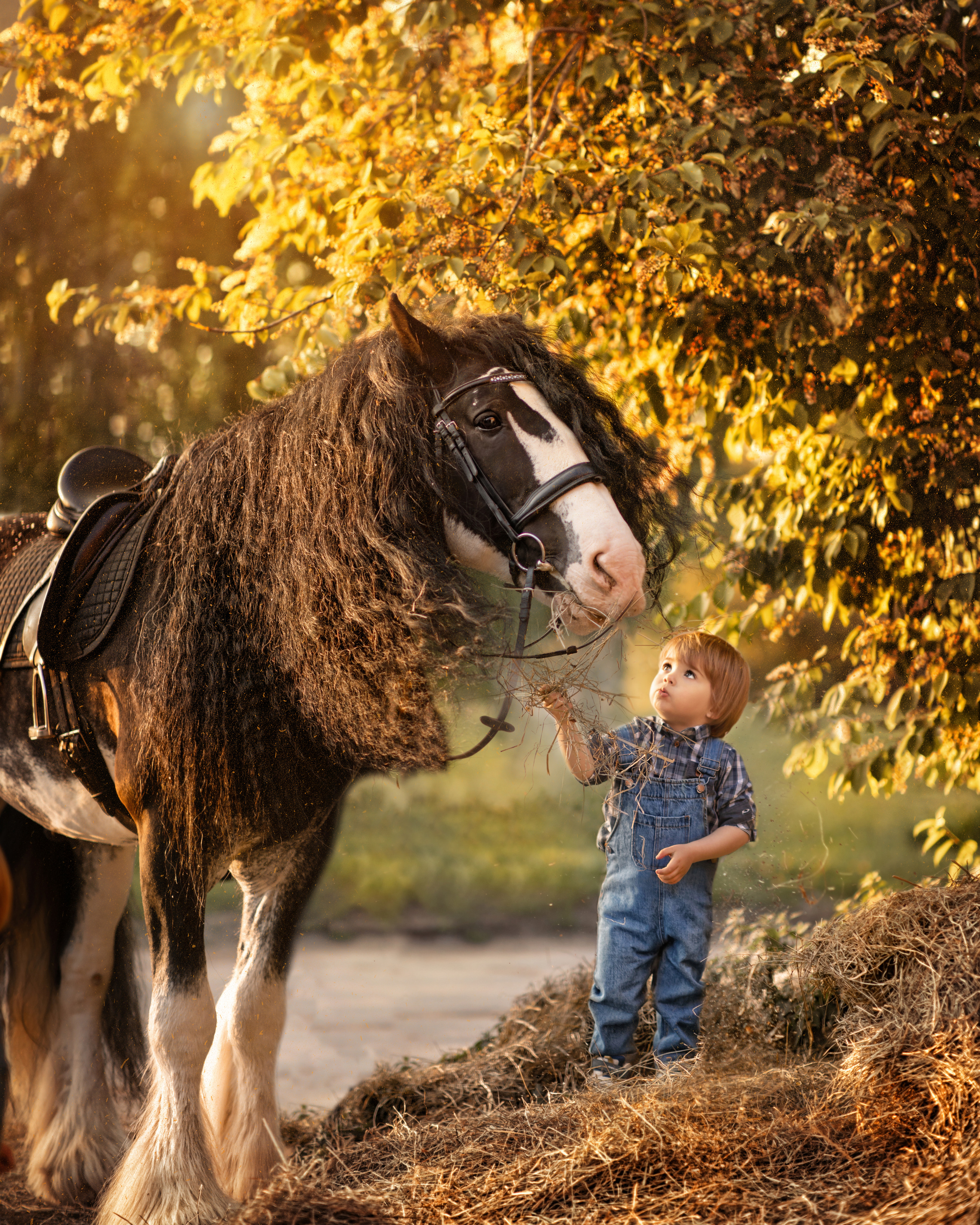 ФОТОСЕССИЯ С ЛОШАДЬМИ. Фотограф Москва