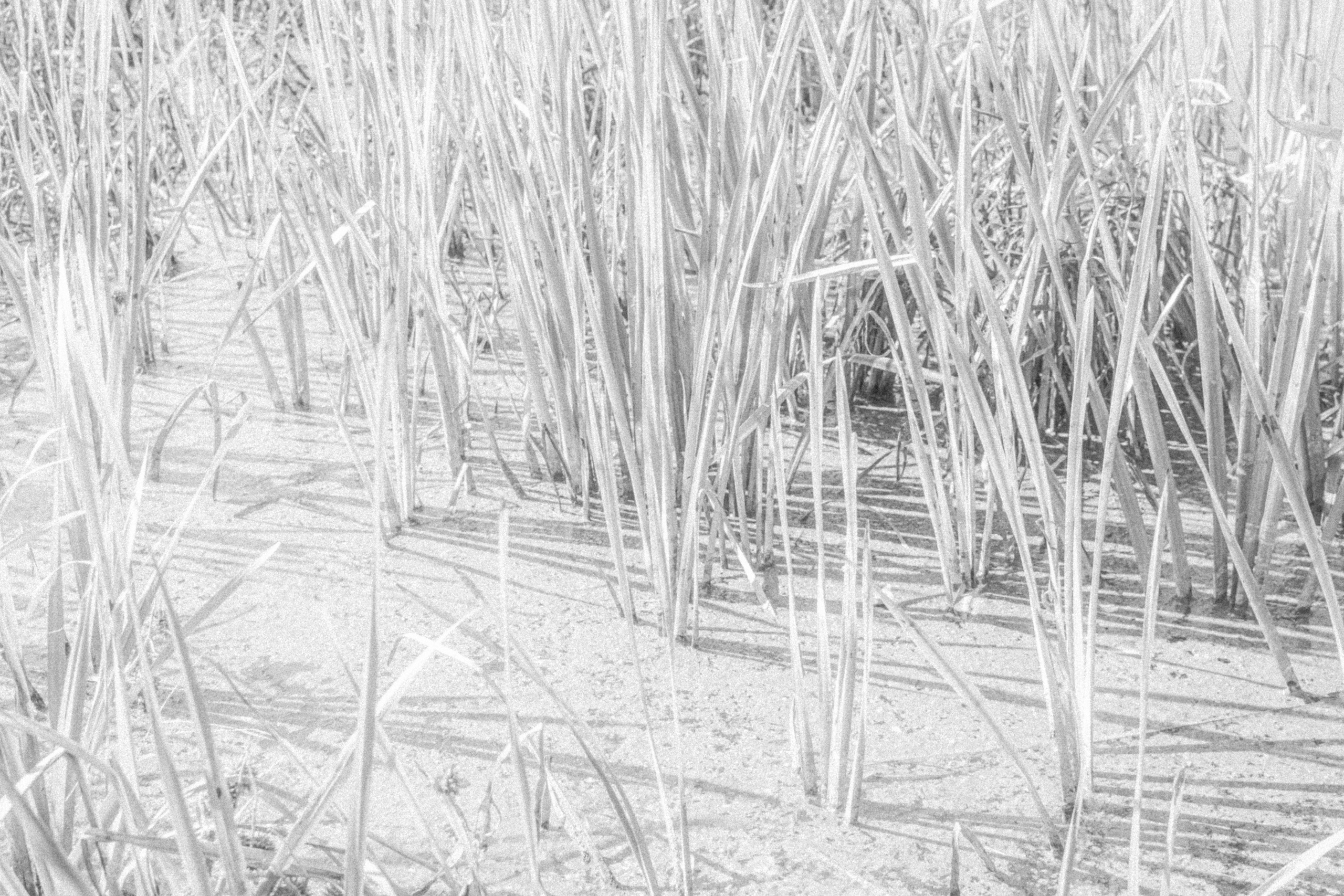 Ты, пожалуйста, не болей!. Katya Medvedeva