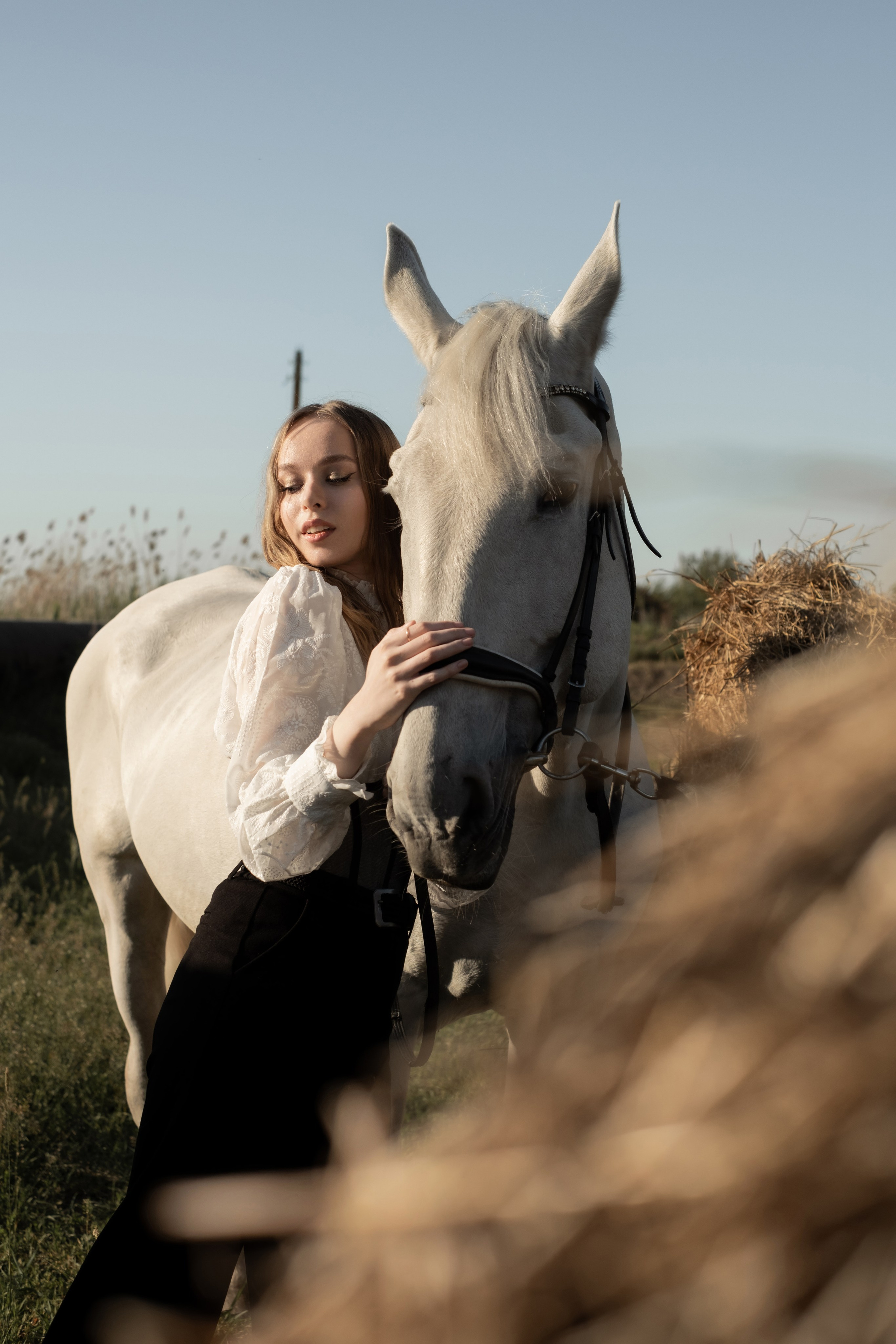 Horses. Фотограф в Москве. Женский и мужской портрет, лавстори (love story)