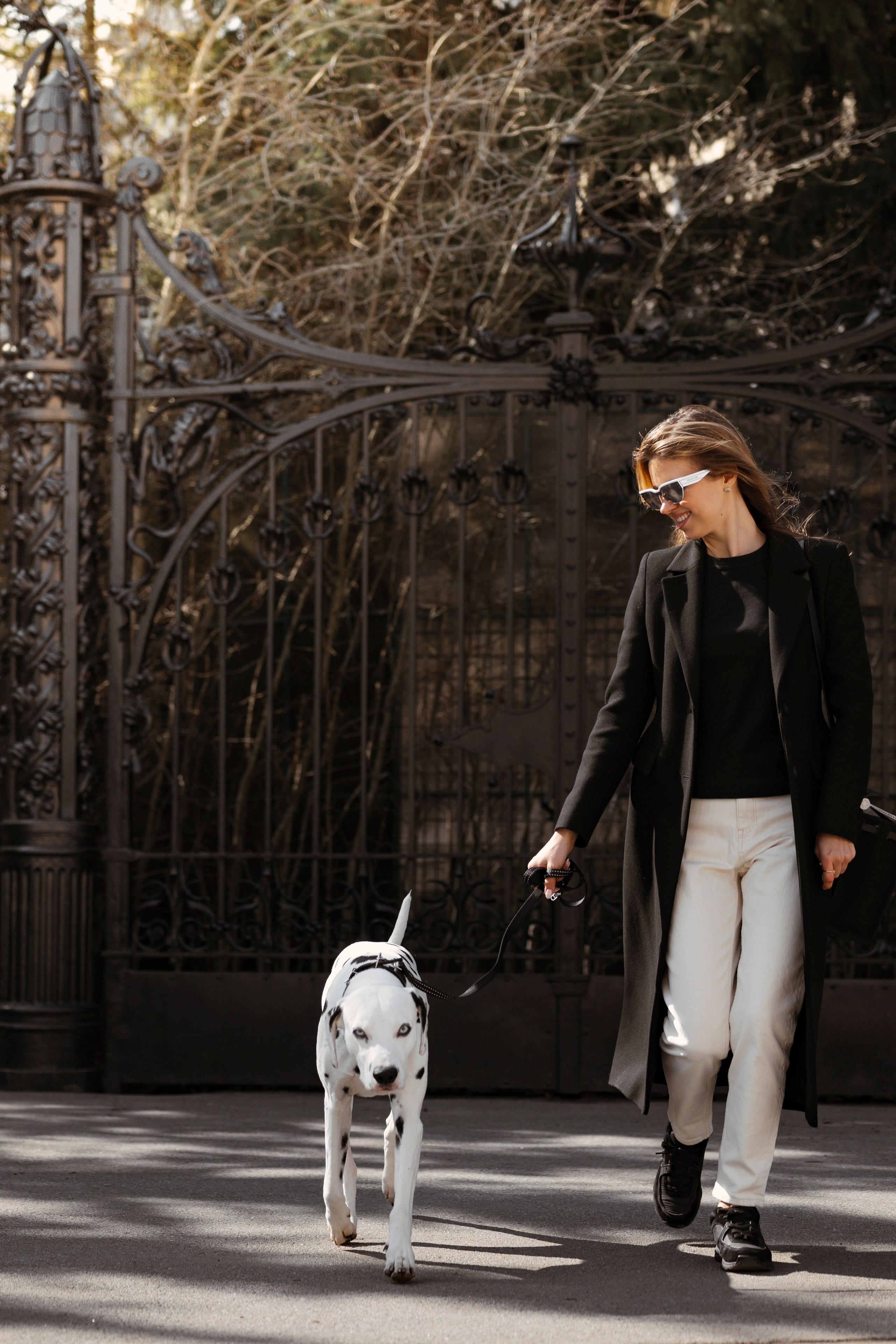 DOGIGO на прогулке. Фотограф анималист в Санкт-Петербурге Таша Крейв