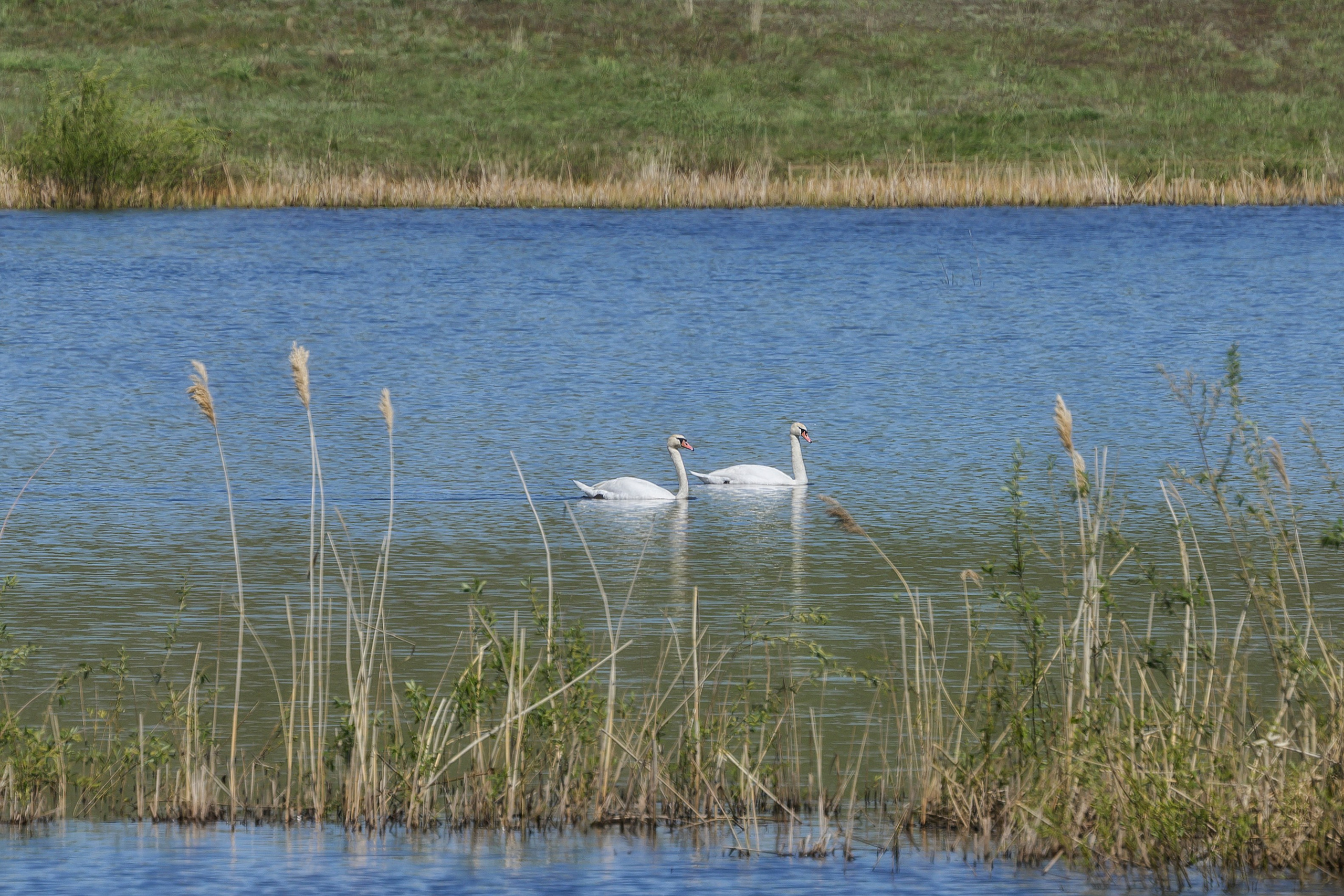 Оренбуржье. Портретный фотограф в Челябинске Катерина Руди
