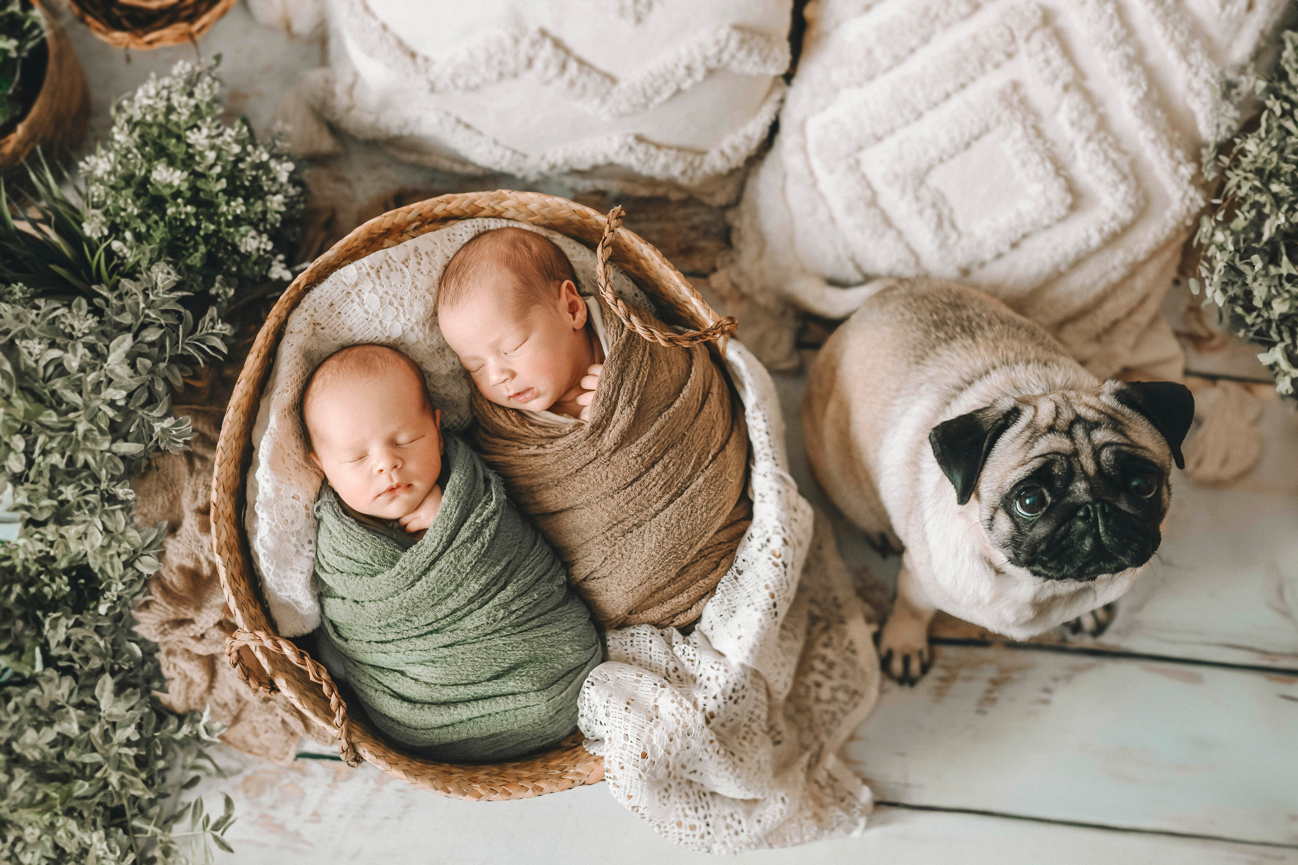 идеи для фотосессии новорожденных двойняшек