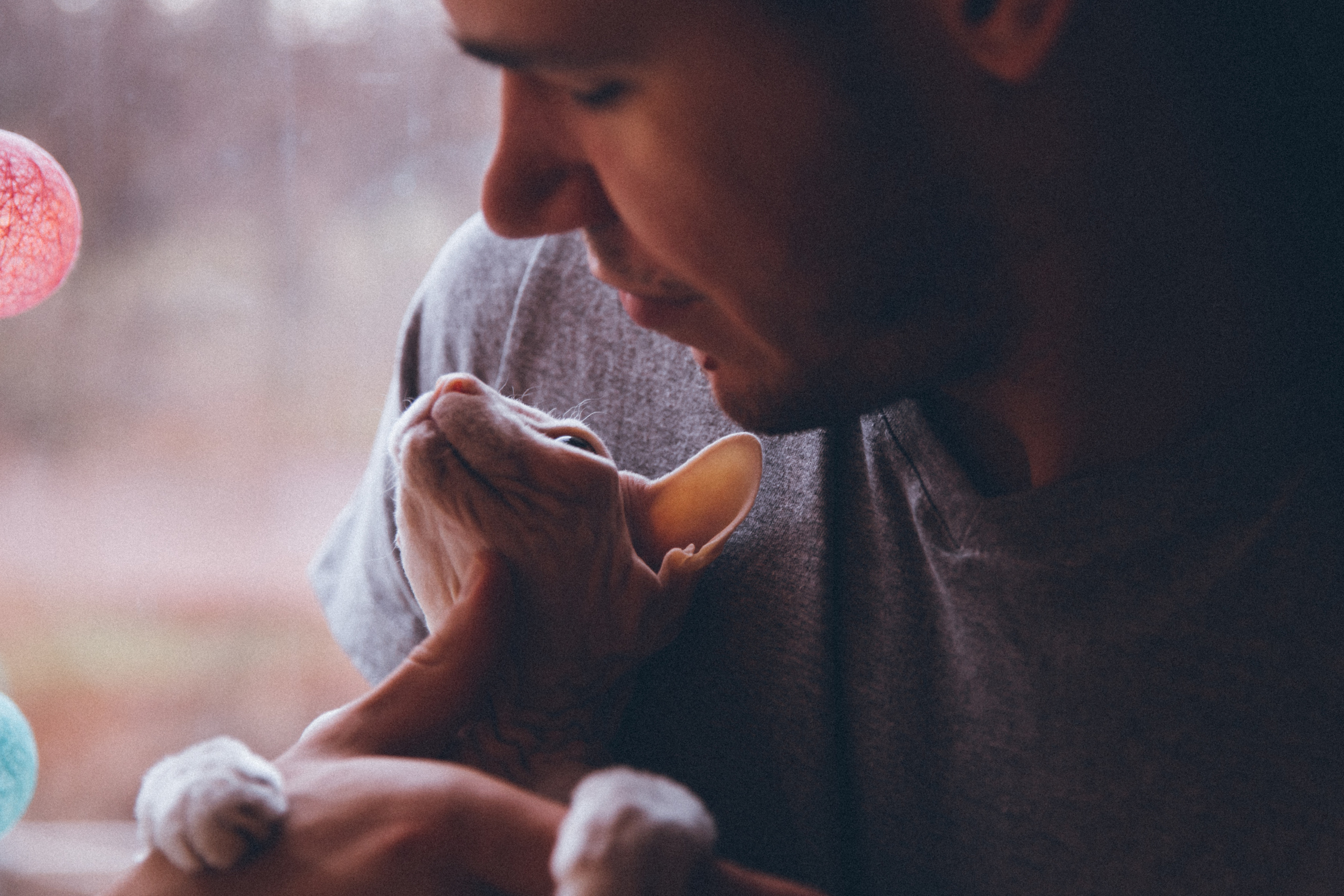 Домашние фотосессии. Семейный фотограф в Санкт-Петербурге Алиса Мохова