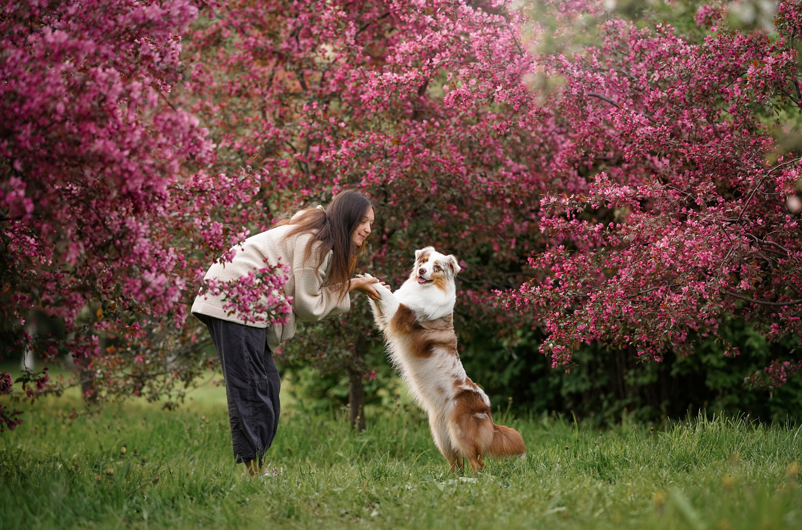 Панда в Яблоневом саду. Фотограф-анималист в Санкт-Петербурге Яна Мартынова