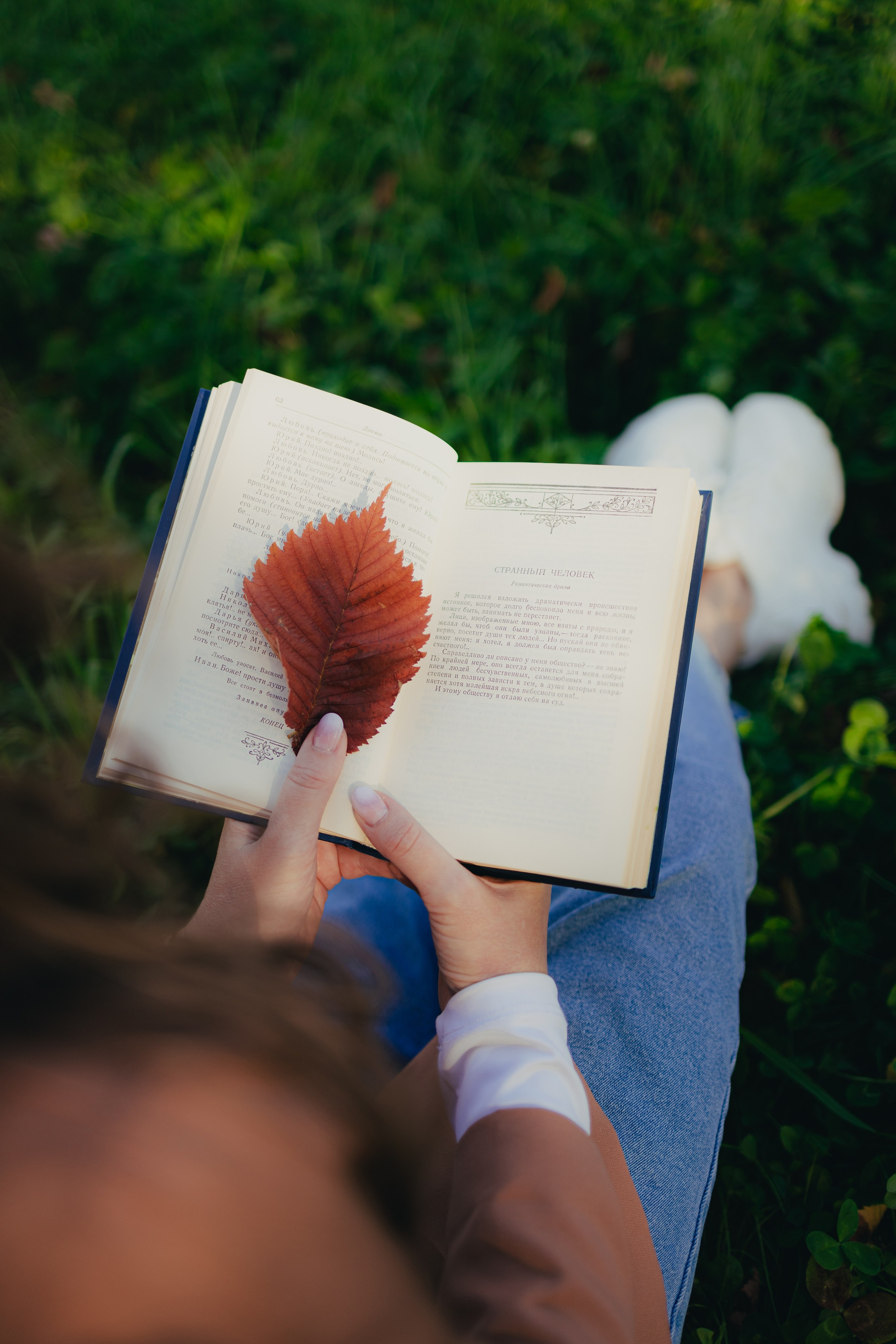 Осень 2025. Фотограф Братск Юлий Дежин