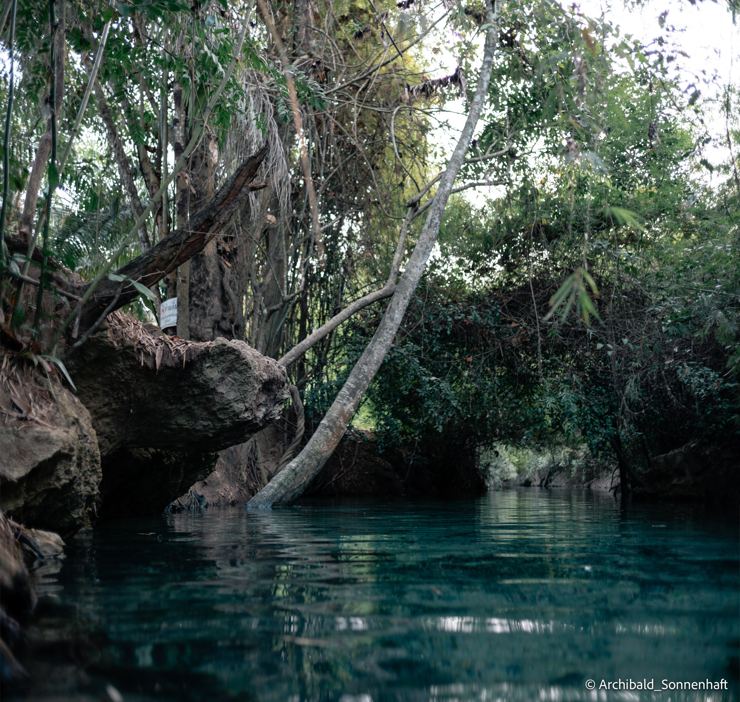 Thai monk. Photographer in Guangzhou, China. Archibald Sonnenhaft