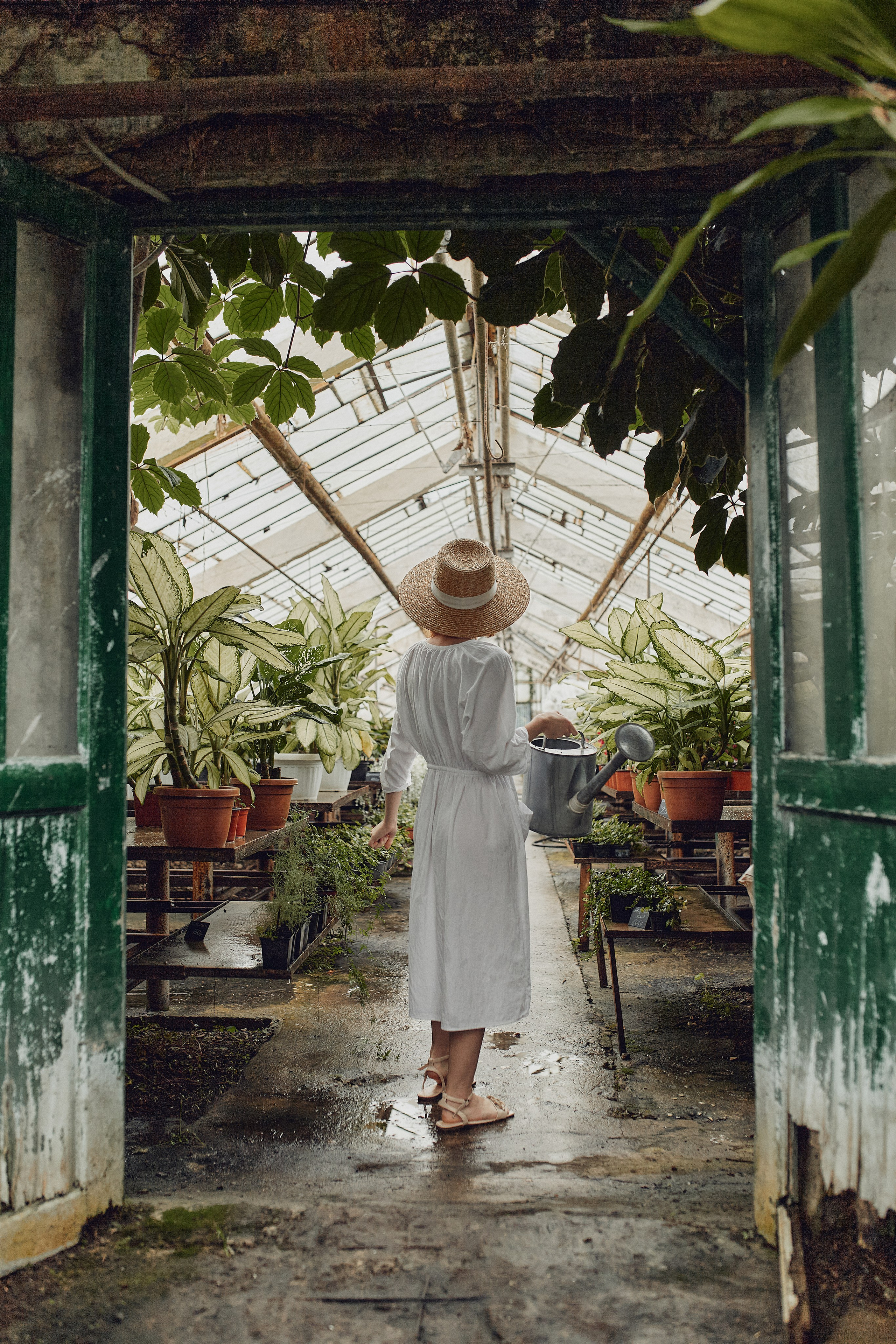 Старая оранжерея