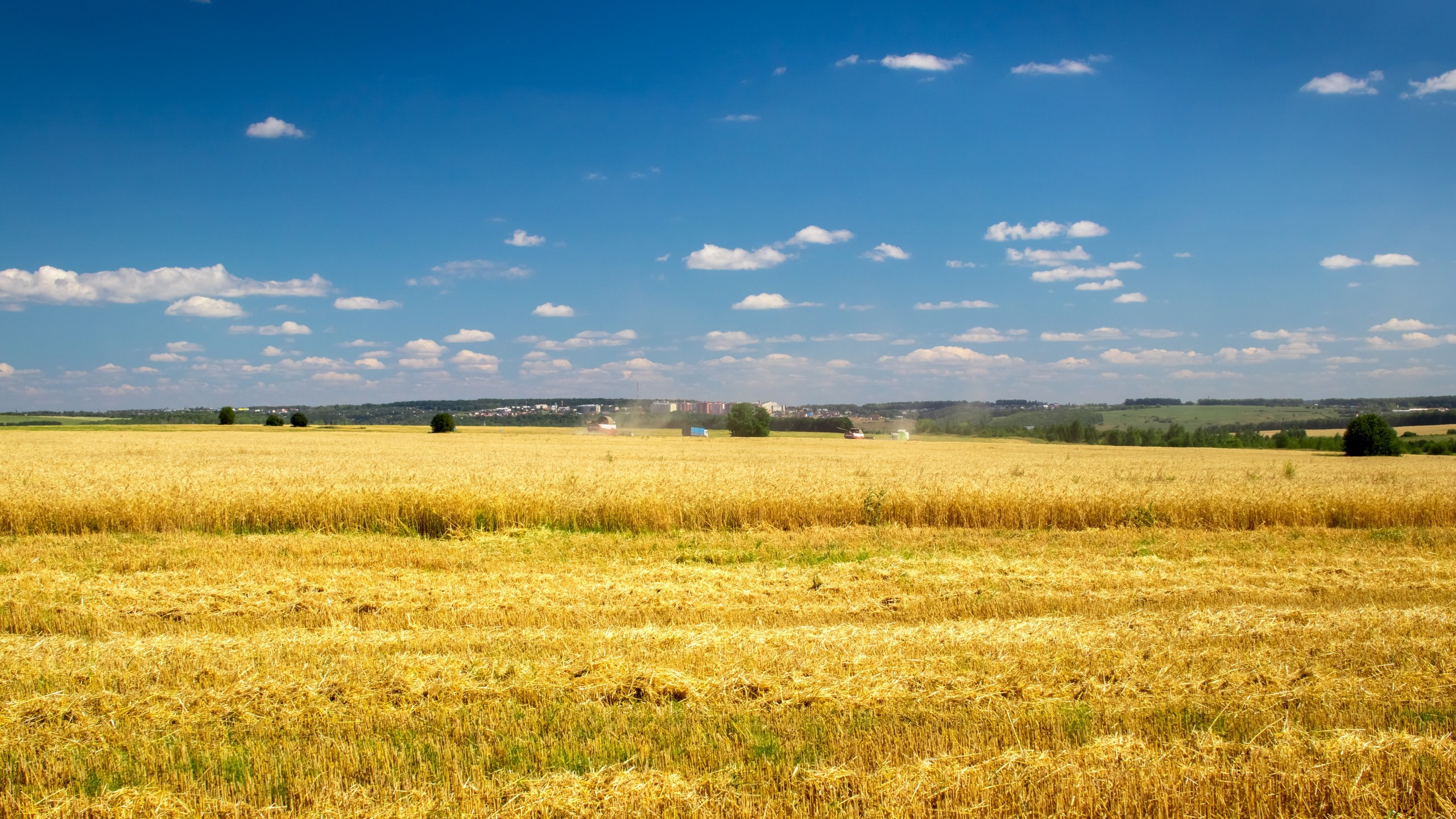 Пейзажная фотосъемка. Владимир Суздалов (ProMaXe) — Портретный фотограф, тематические фотосессии в Чебоксарах