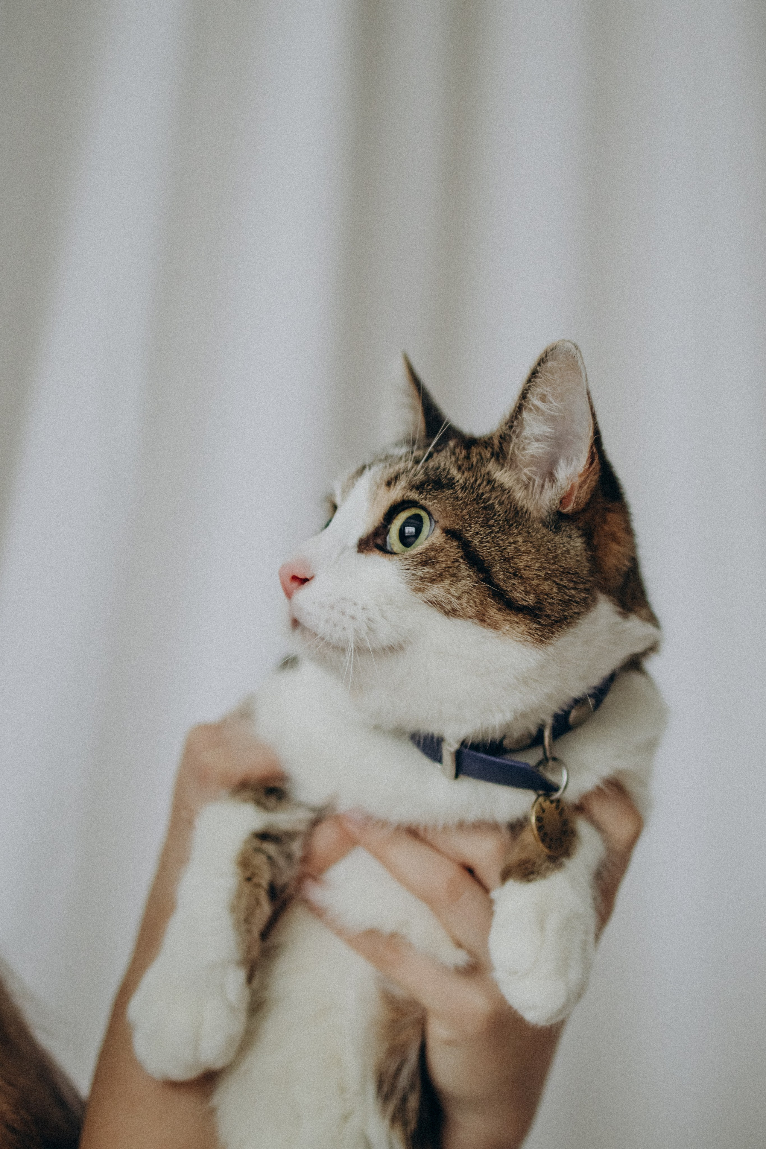 Ксюша и Яша. Фотораф — анималист Мария Шистка