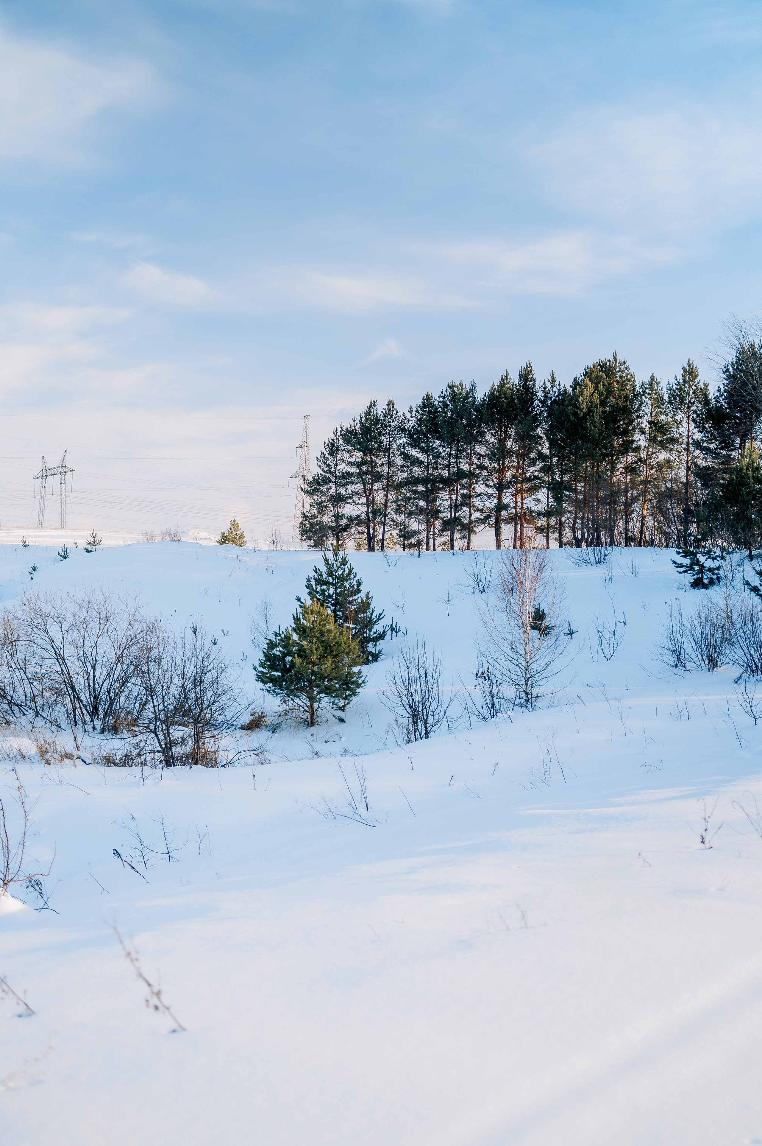 База отдыха «Заимка», Чувашия, февраль 2024. Фотограф Александр Золотых
