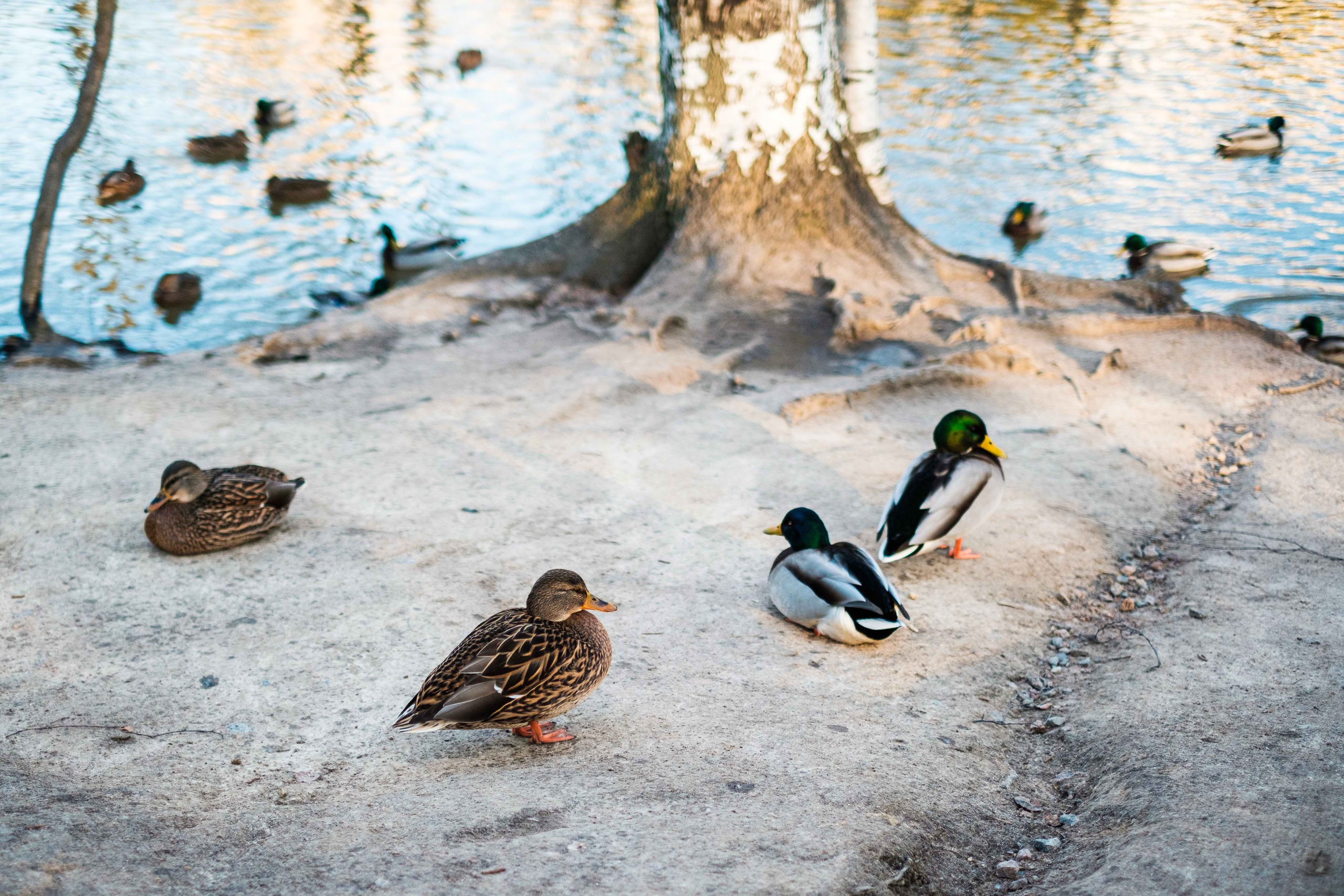 2021.11. Фотограф Алексей Алексеев