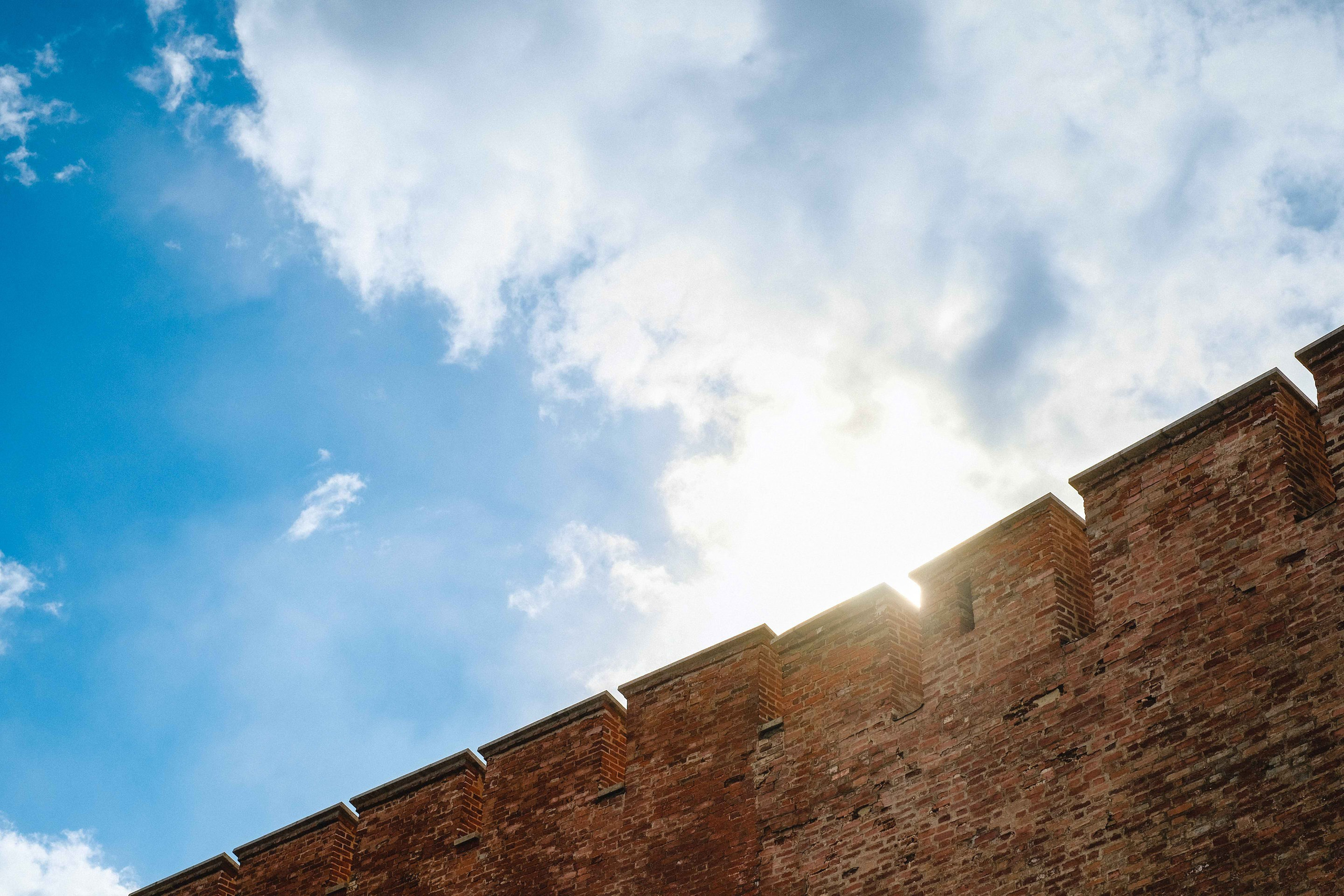 2022.05. Фотограф Алексей Алексеев