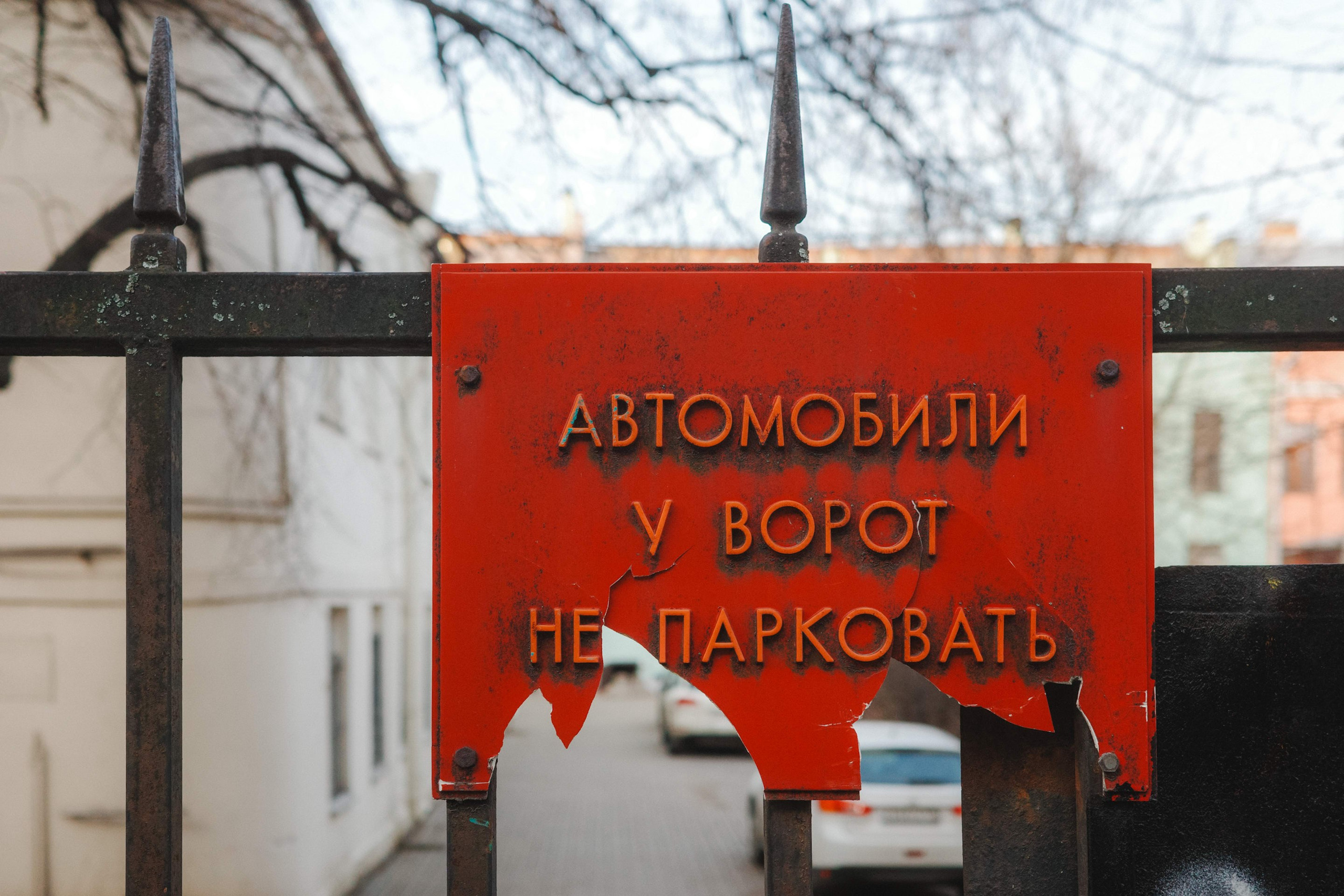 2024.03. Фотограф Алексей Алексеев