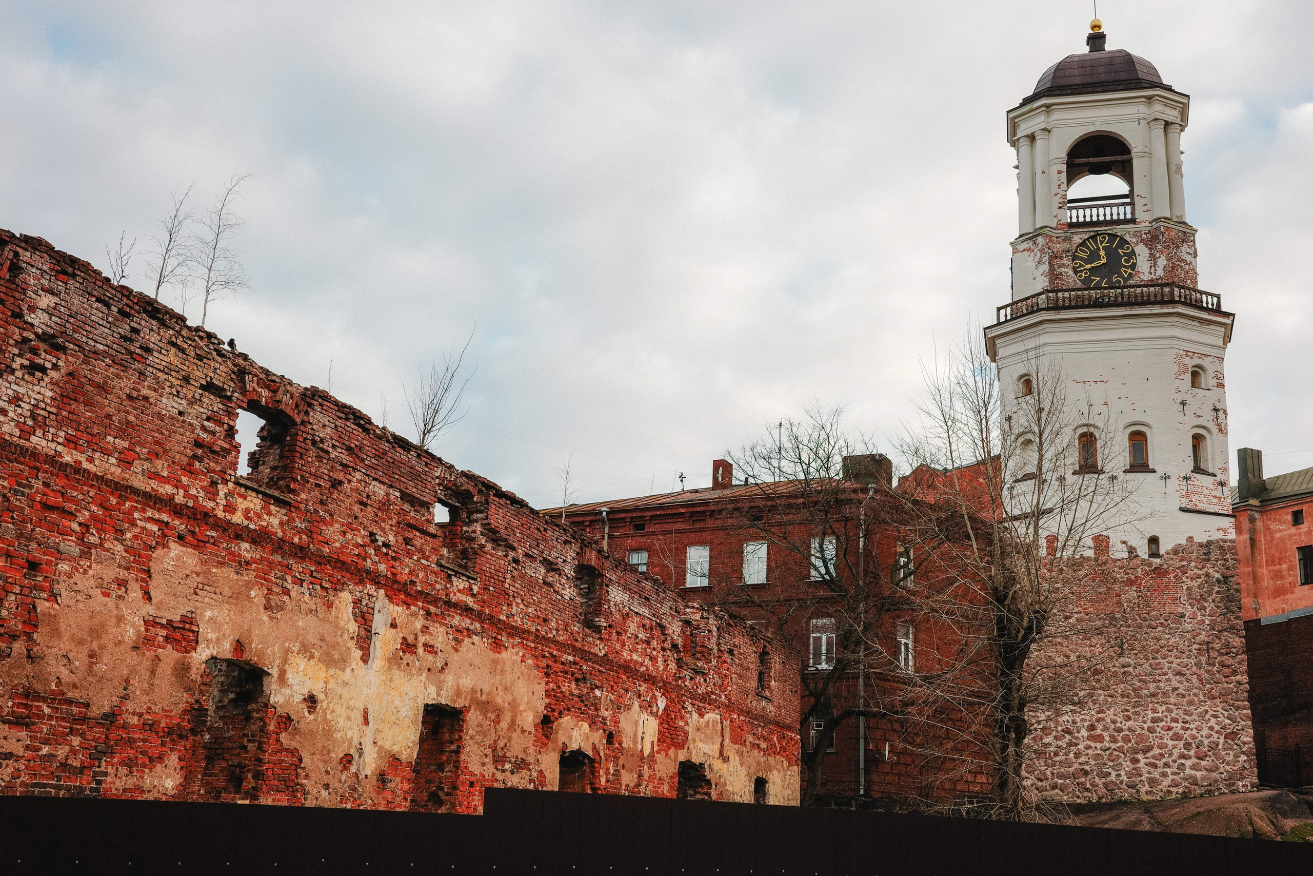 2024.11. Фотограф Алексей Алексеев
