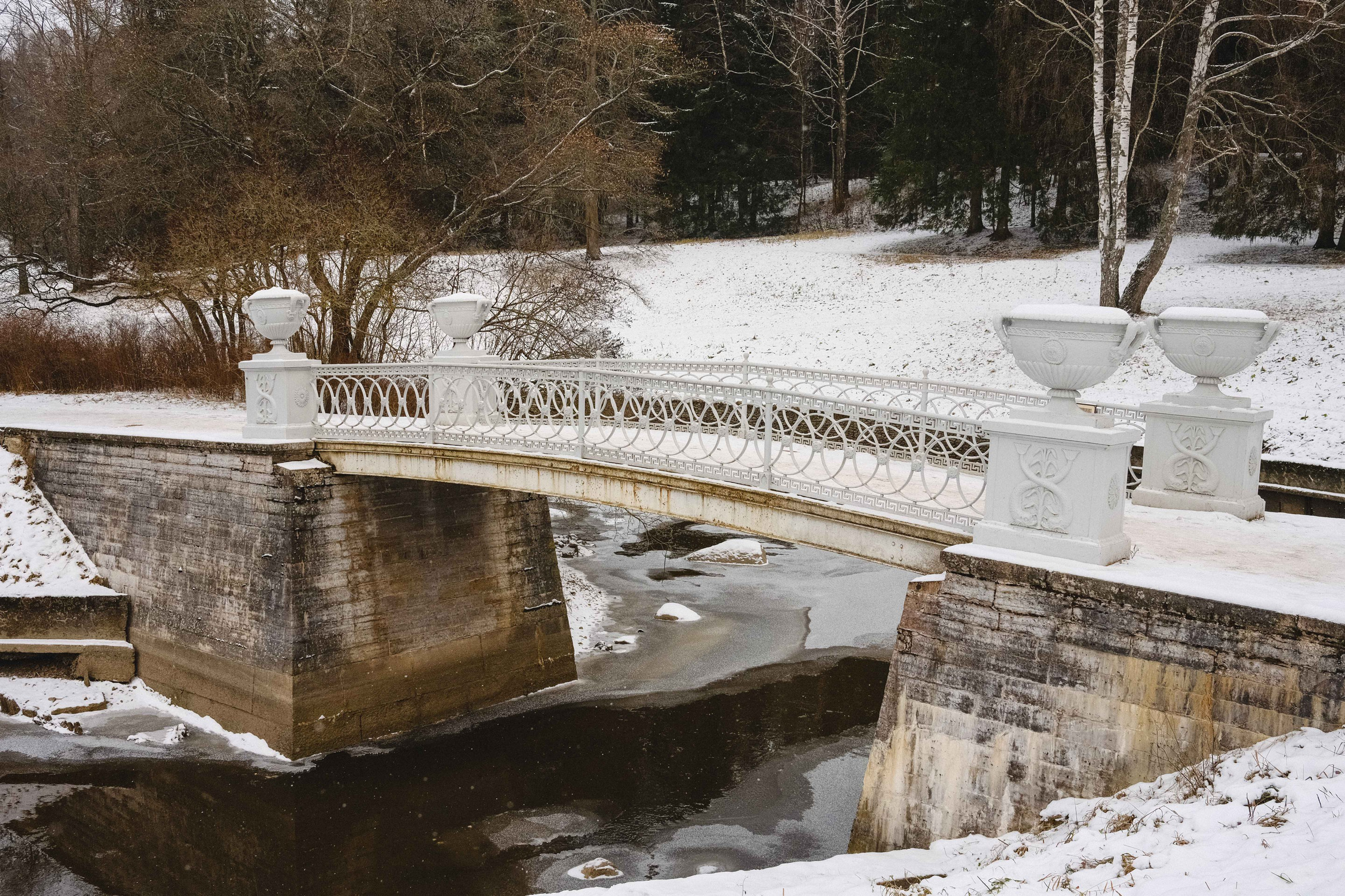 2022.11. Фотограф Алексей Алексеев