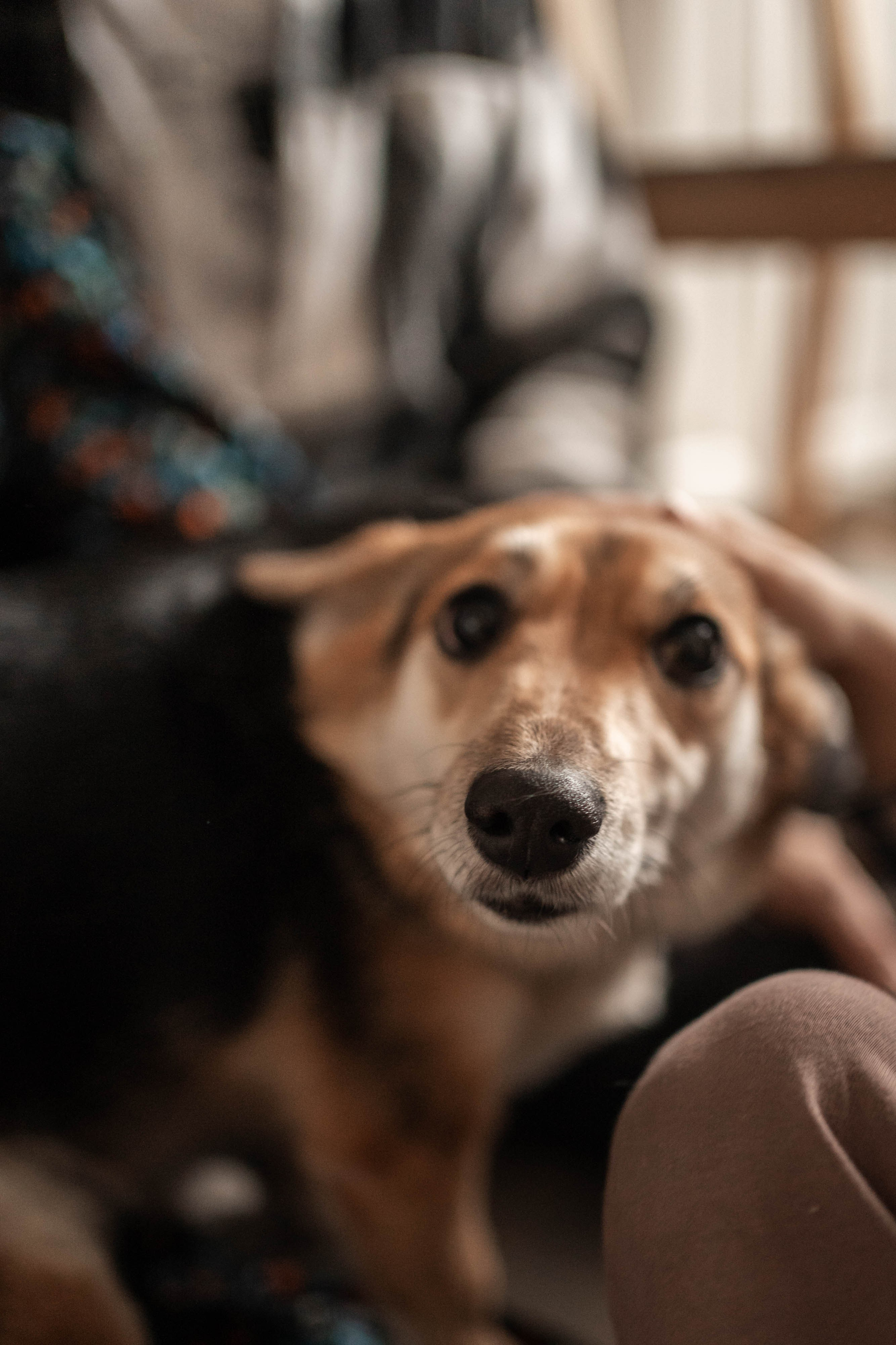 Домашние съемки. Фотограф/ видеограф Катя Ильина Калуга