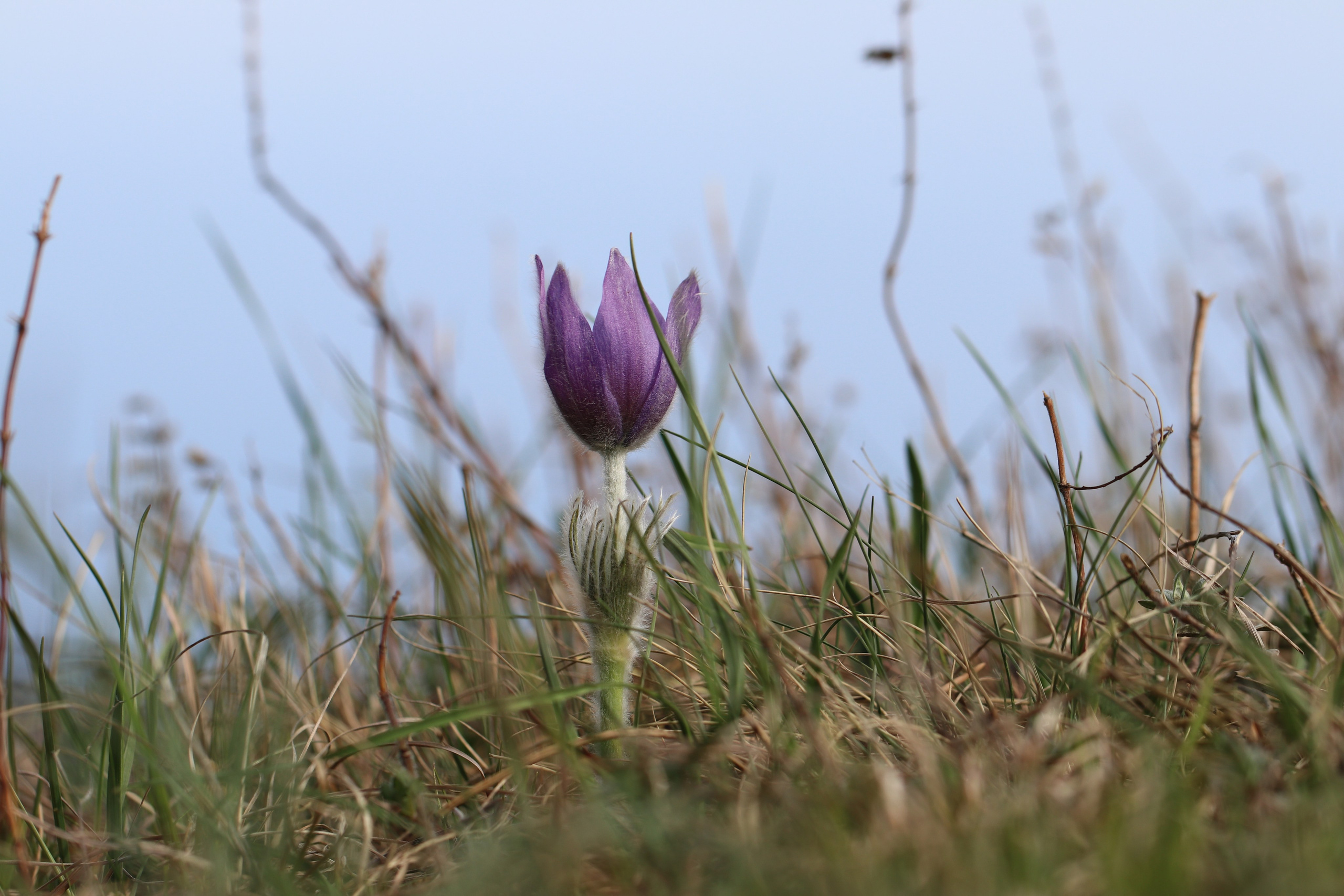 Крым. ЮБК (Бахчисарай, Кастрополь, Таракташская тропа). Май 2021. Путешественник-фотограф из Санкт-Петербурга Татьяна Свистулина