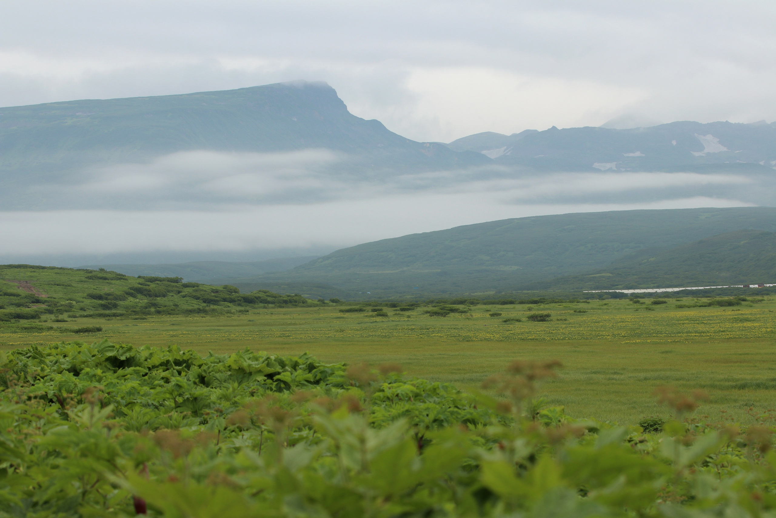 Камчатка и о. Парамушир. Июль 2024. Путешественник-фотограф из Санкт-Петербурга Татьяна Свистулина