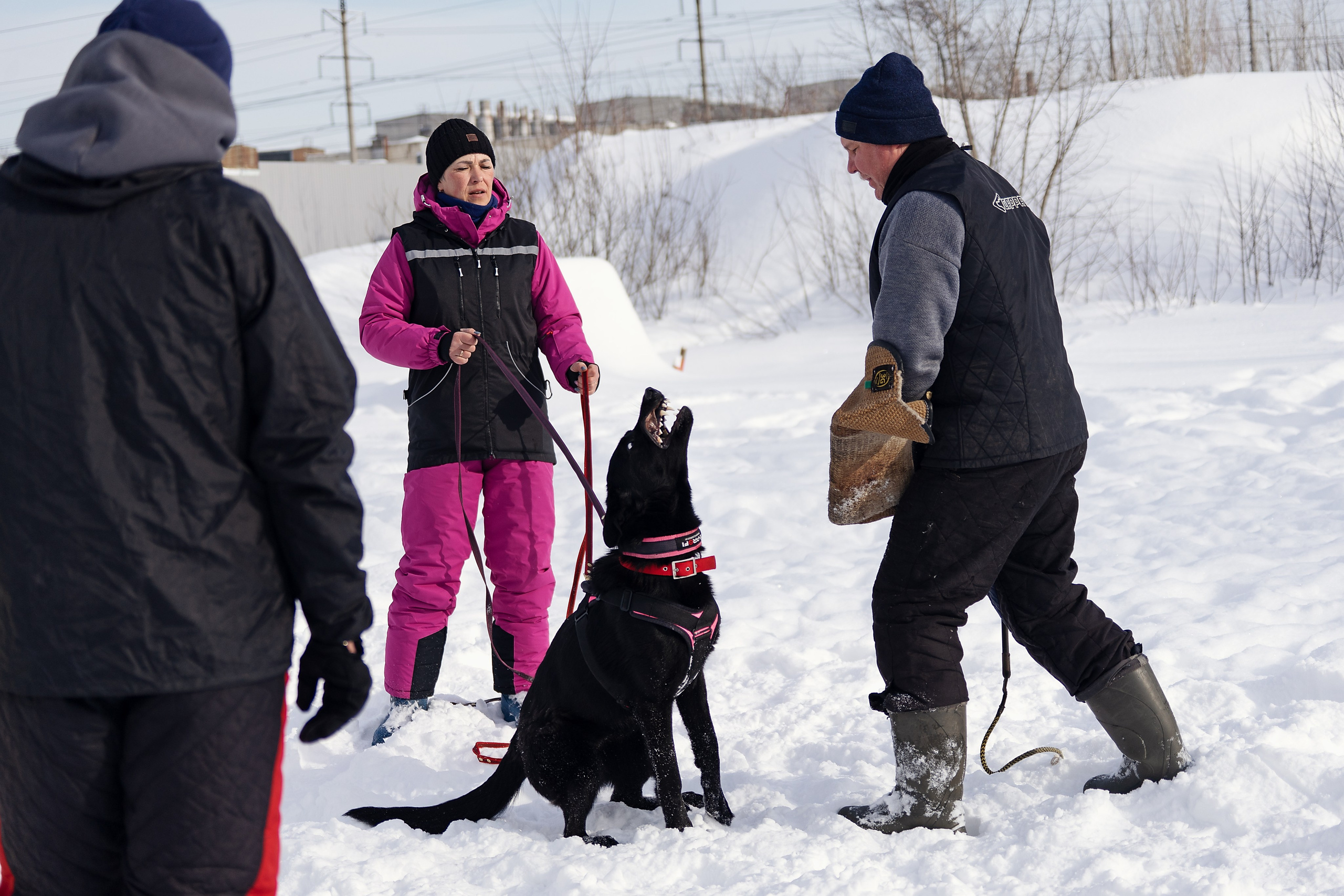 Репортажная съемка. Фотограф-анималист Нижний Новгород