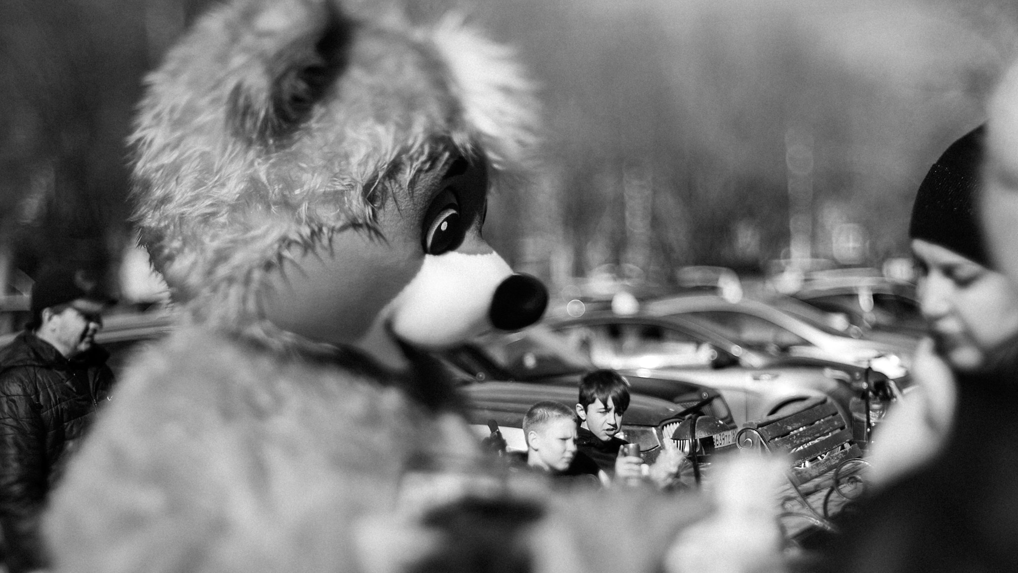 Манго-маракуйя. Андрей Сливенко. Свадебный фотограф и видеограф в Волгодонске и Ростове-на-Дону