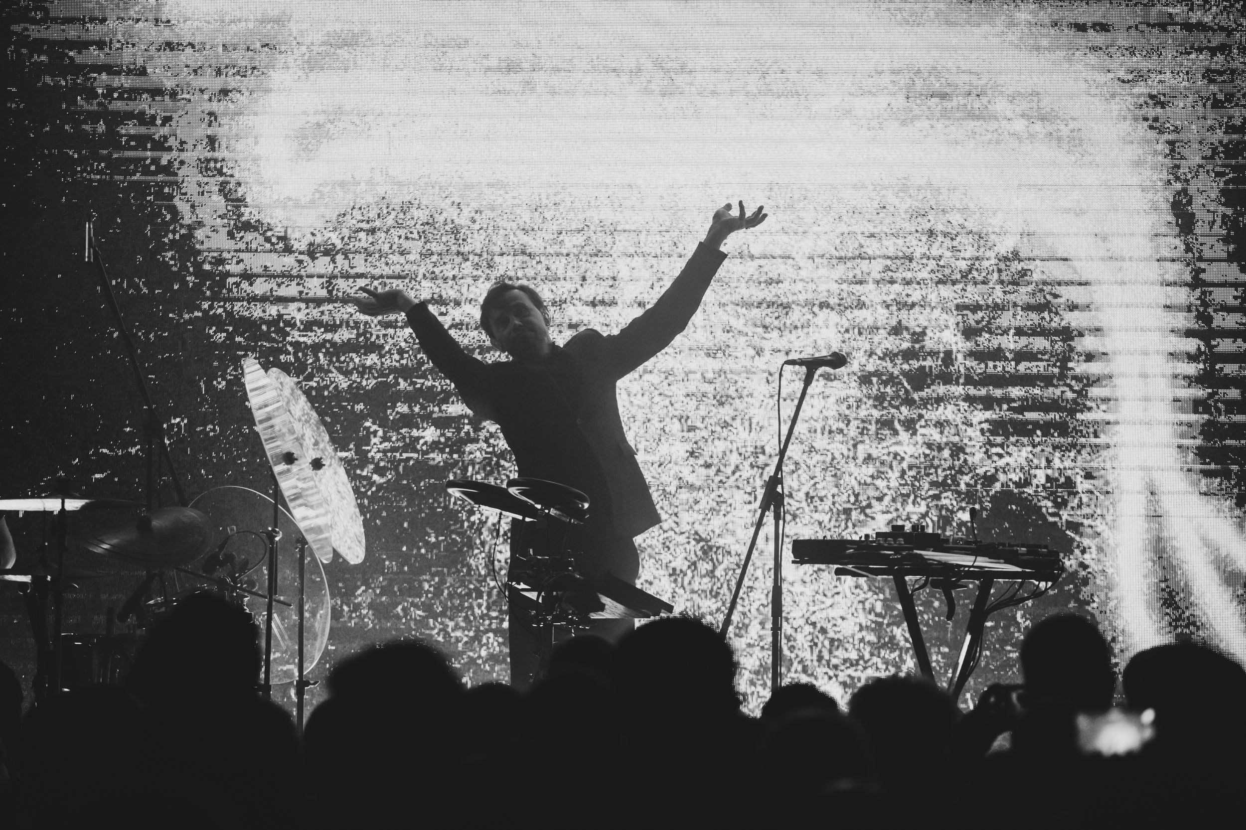 Дельфин. Репортажный фотограф Алексей Пирязев