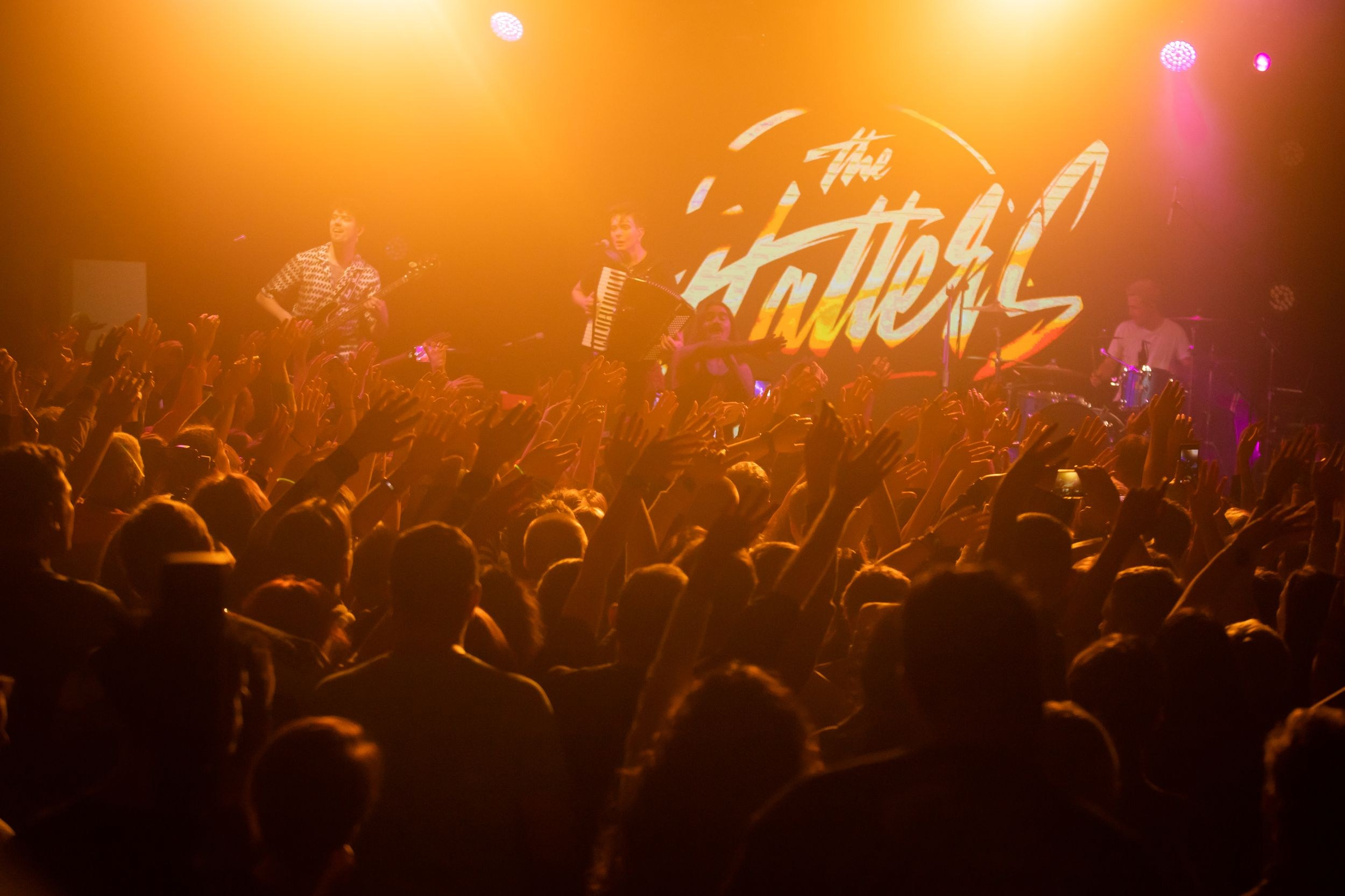 The Hatters. Репортажный фотограф Алексей Пирязев