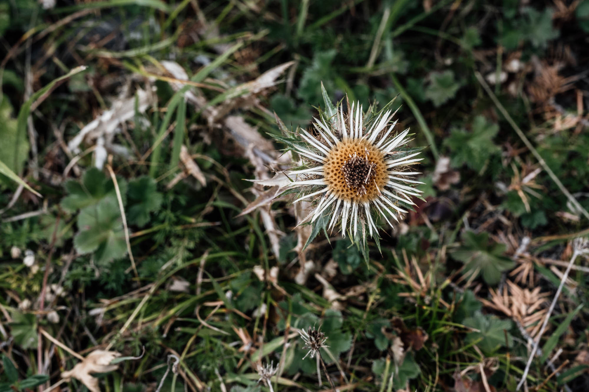 ТУРДАГ. Джип туры по Дагестану. Фотограф Анастасия Броварник в Санкт-Петербурге