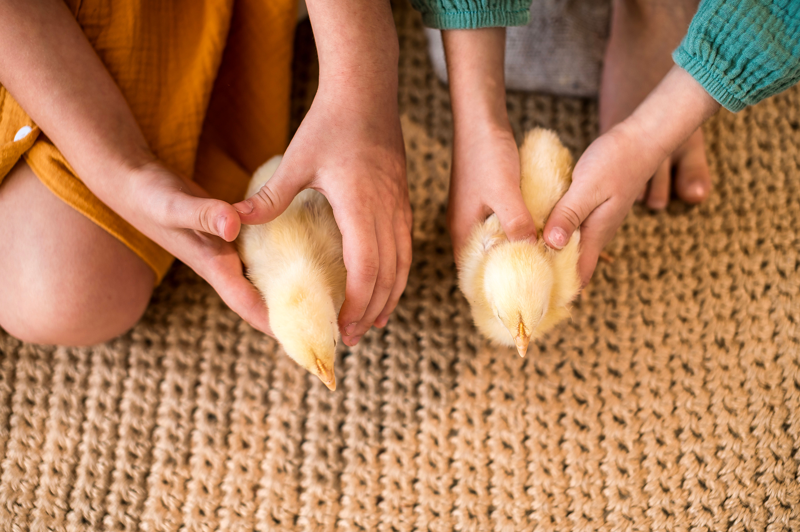 Отзывы. Фотограф Духина Наташа