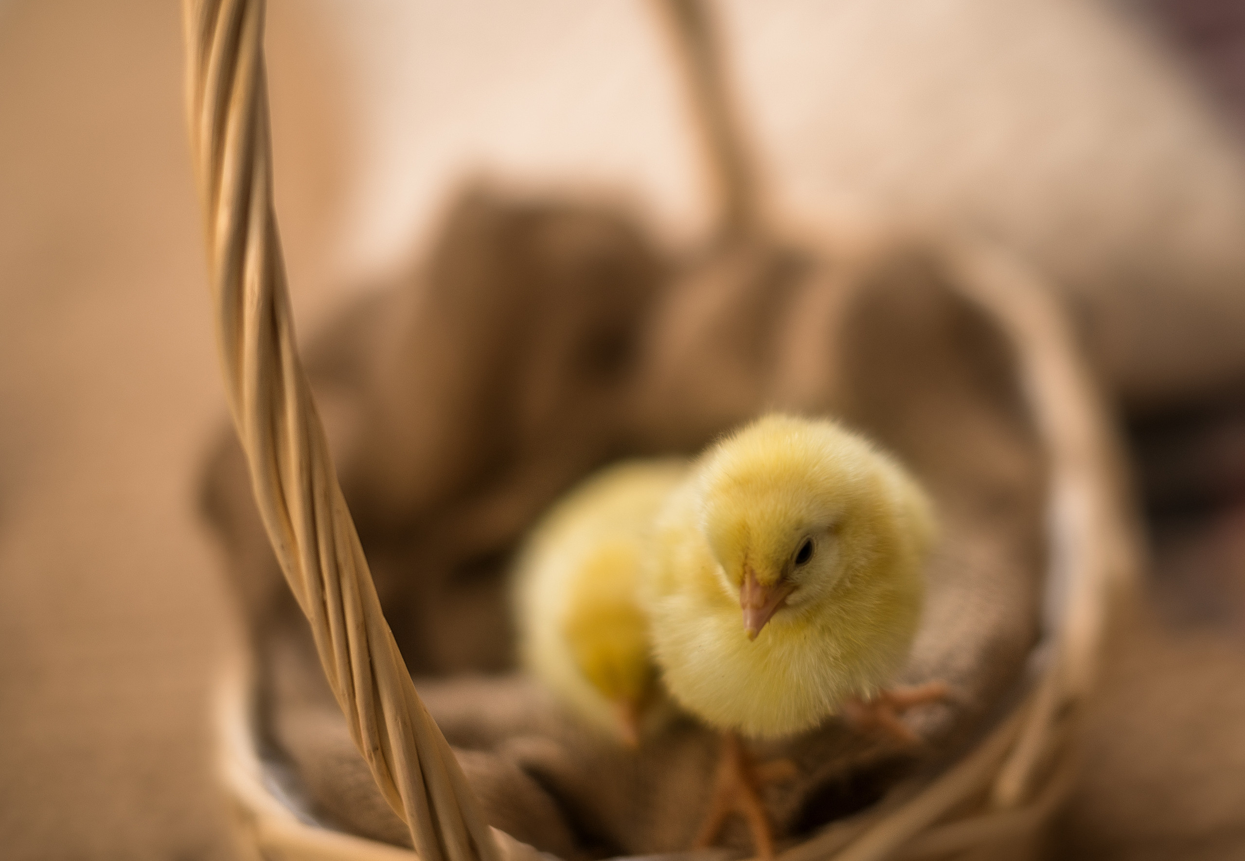 Отзывы. Фотограф Духина Наташа