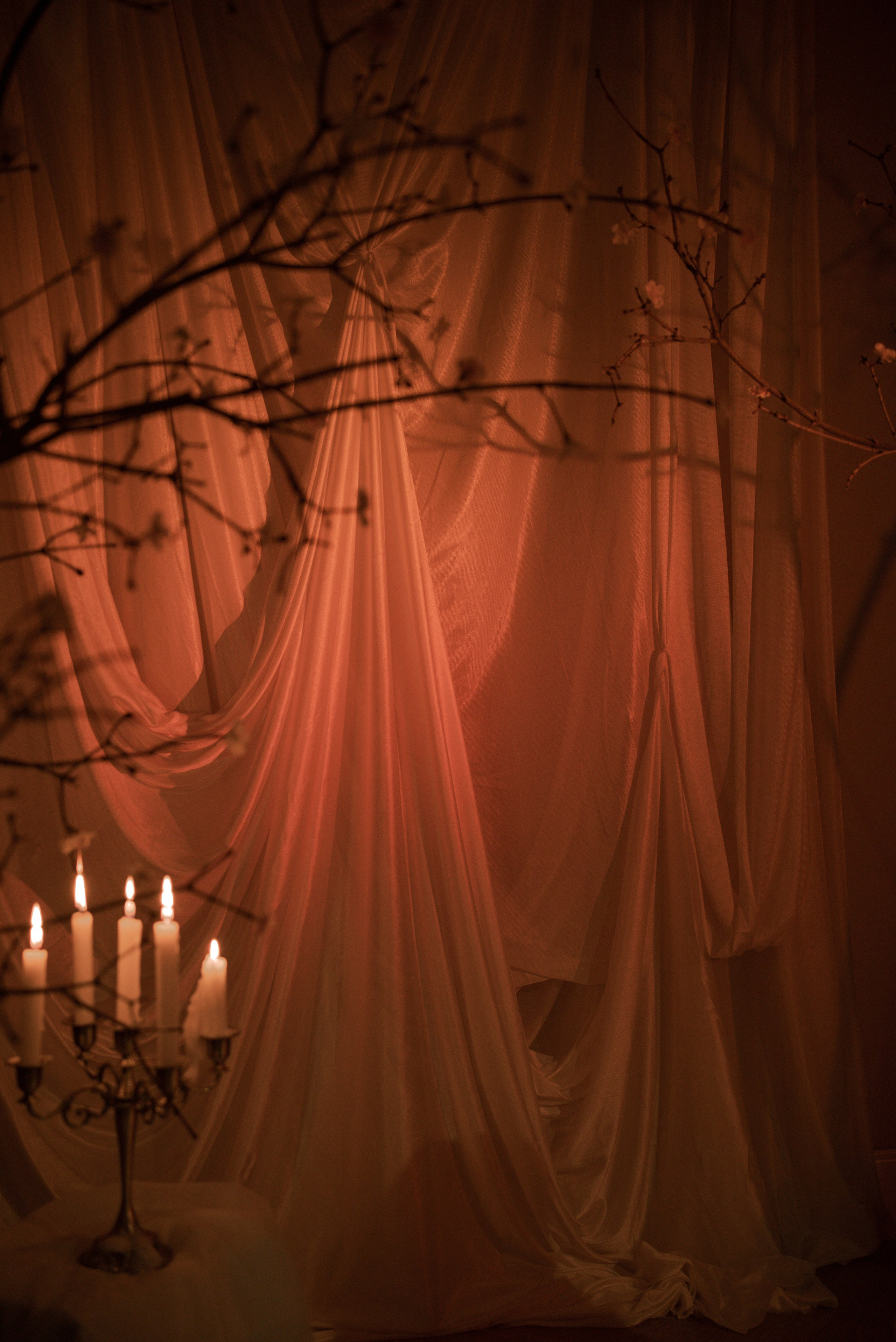 Сакура. Ваш фотограф