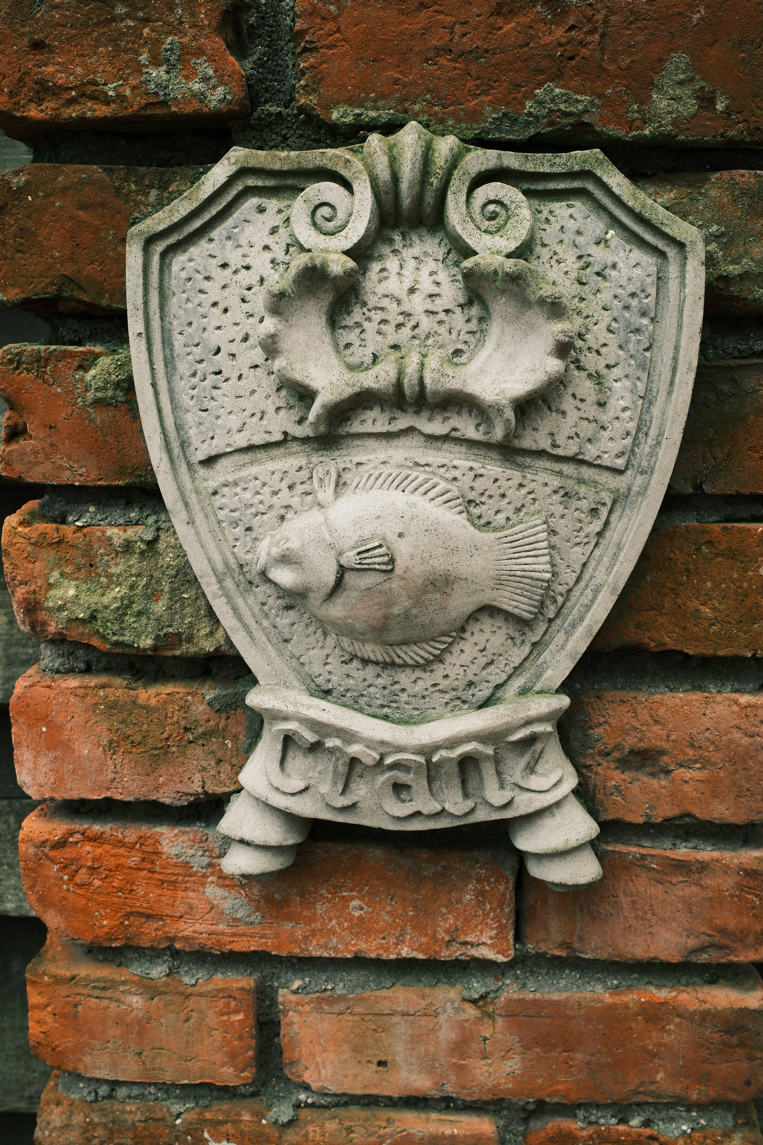 Зеленоградск. Калининградская область. Алексей Торопов фотограф