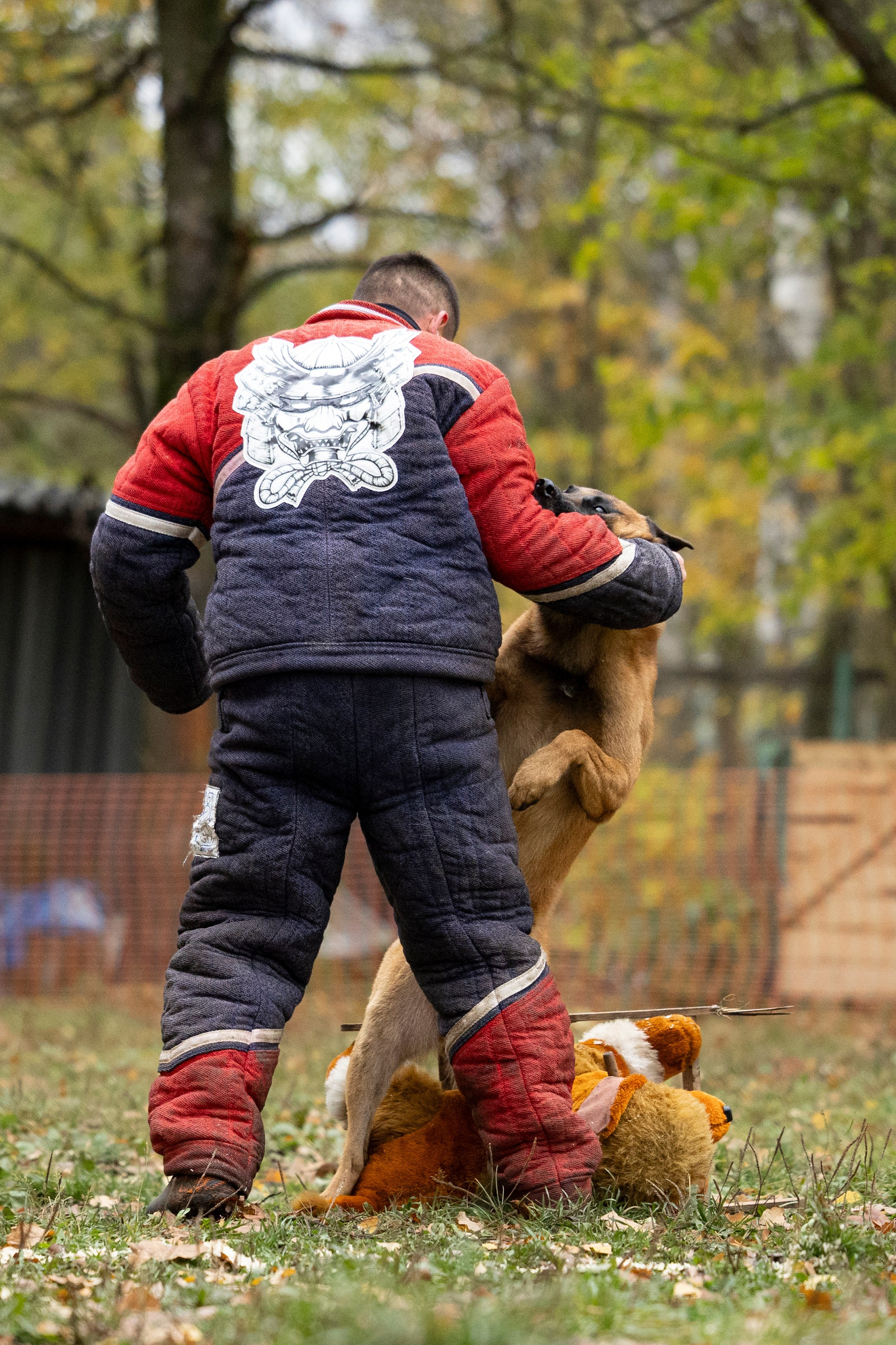 Соревнования по Мондьорингу г. Вологда. Фотограф-анималист Анна Маринич