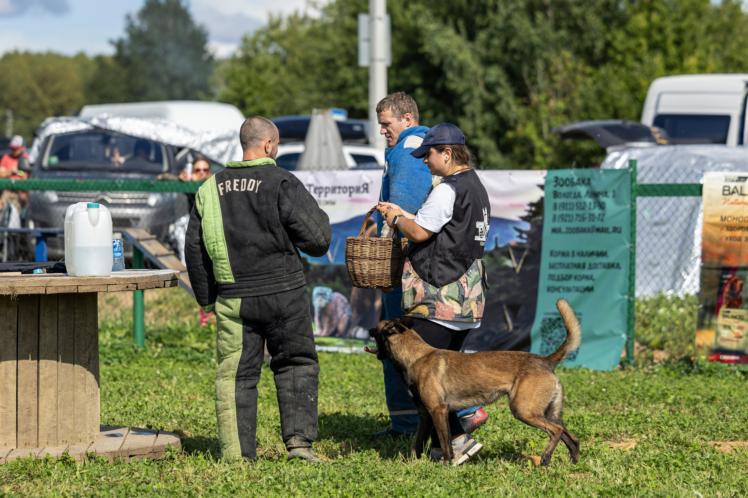 Соревнования по Мондьорингу г. Вологда 10-11.08.2024. Фотограф-анималист Анна Маринич