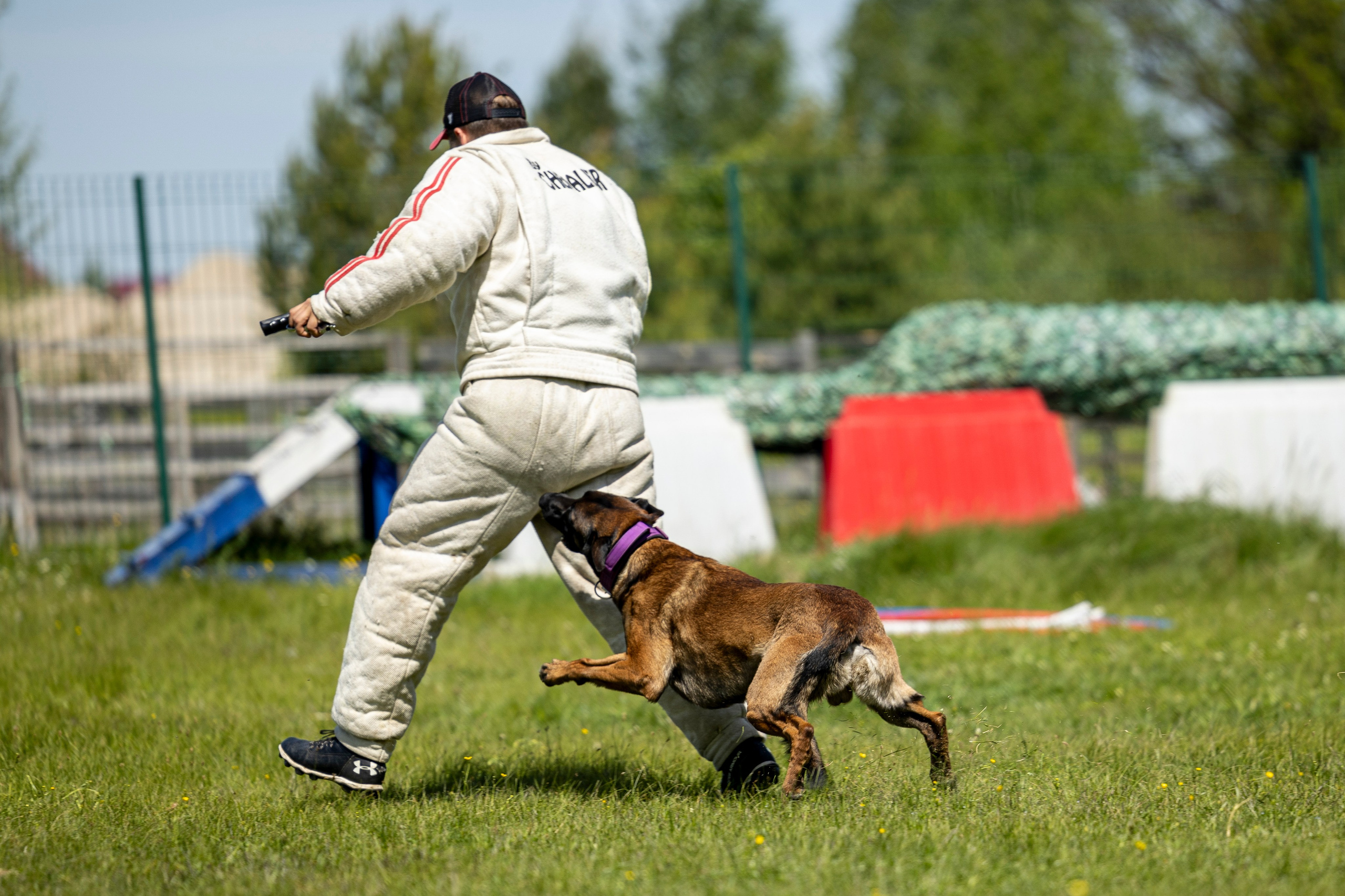 Испытания по мондьорингу в Нижнем Новгороде. Фотограф-анималист Анна Маринич