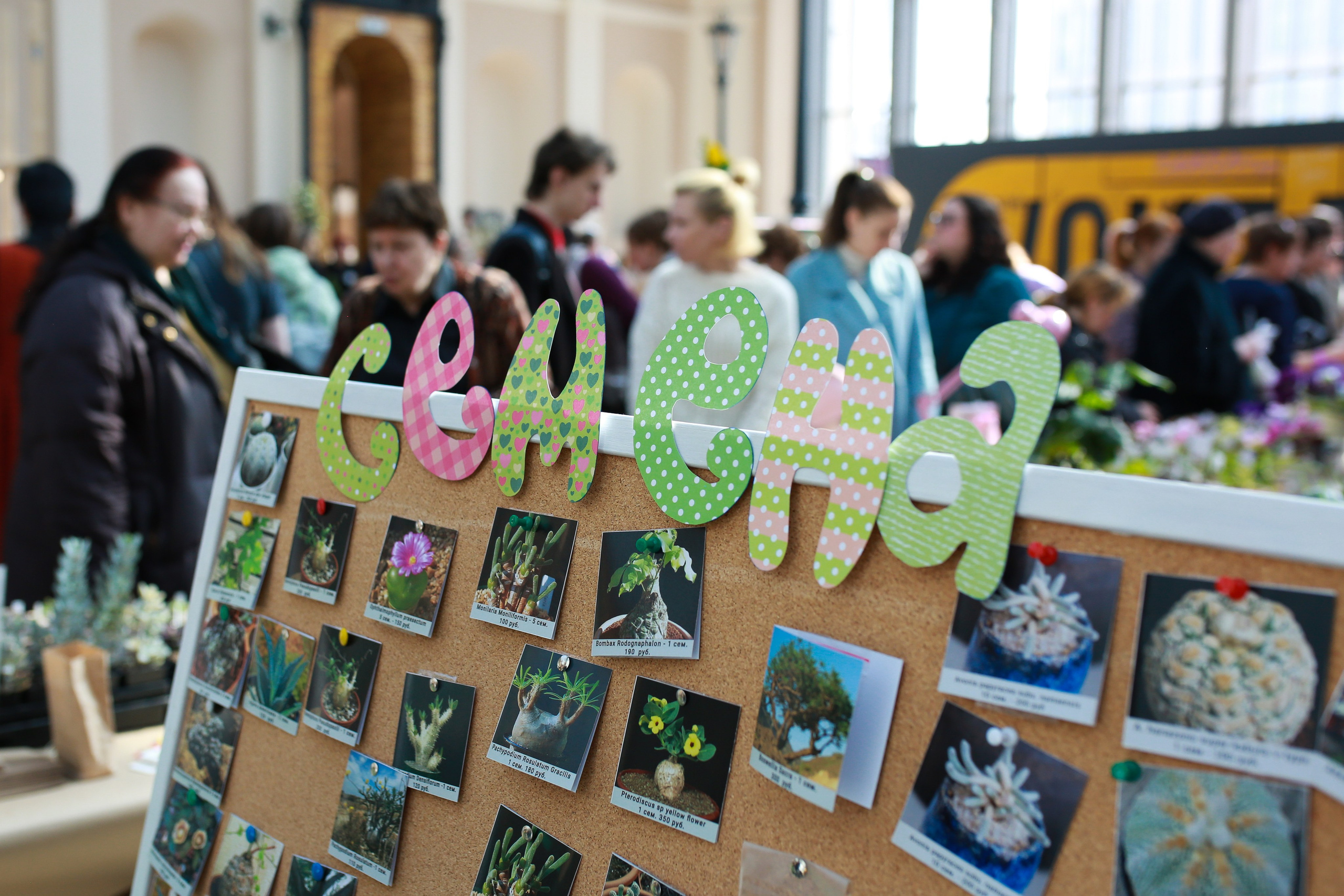 Городские события. Репортажный и портретный фотограф Полина Ершова