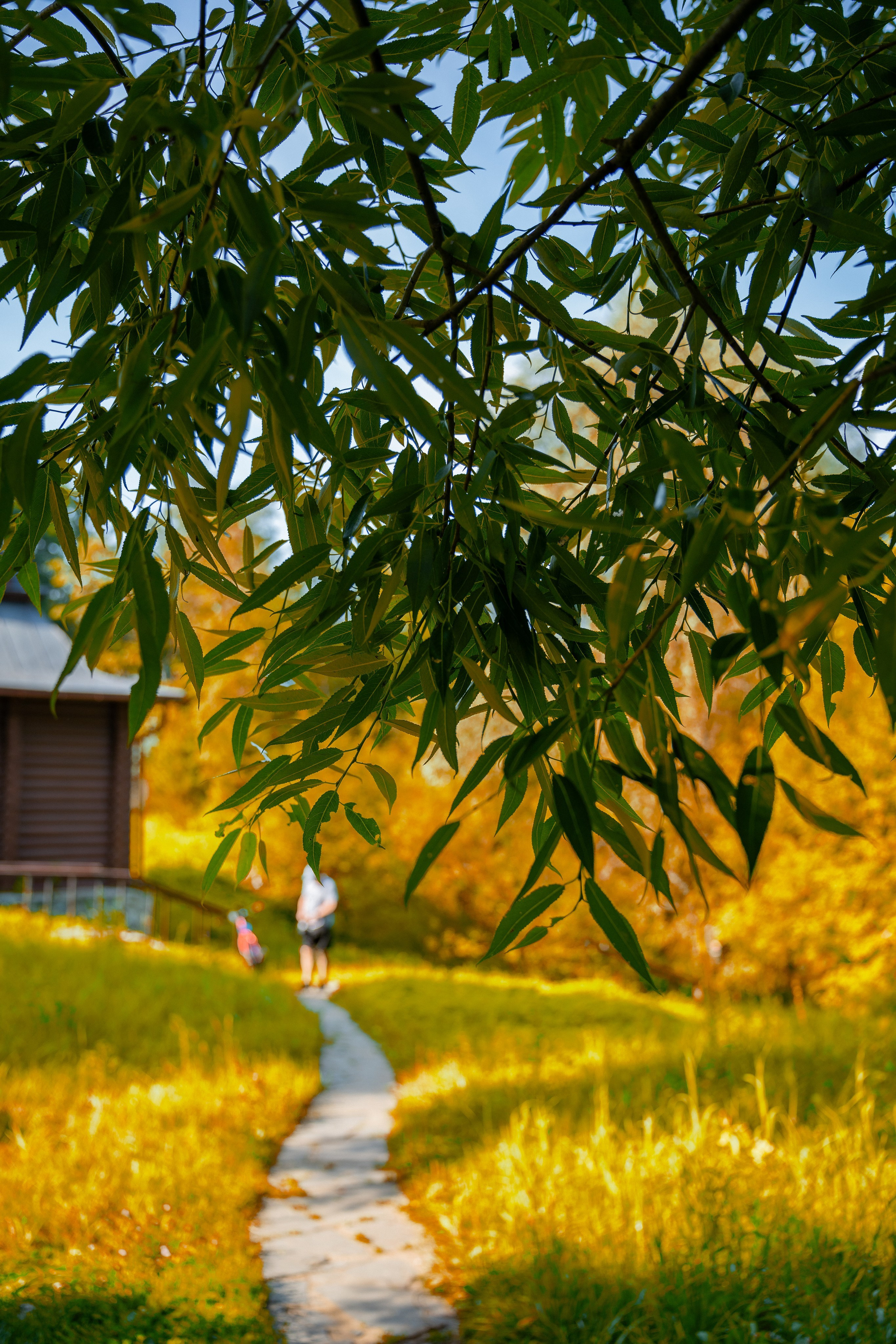 ATMOSPHERE. Фотограф Юрина Ксения Москва